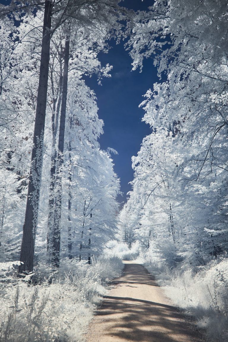 Beautiful Winter Wallpaper Aesthetic
