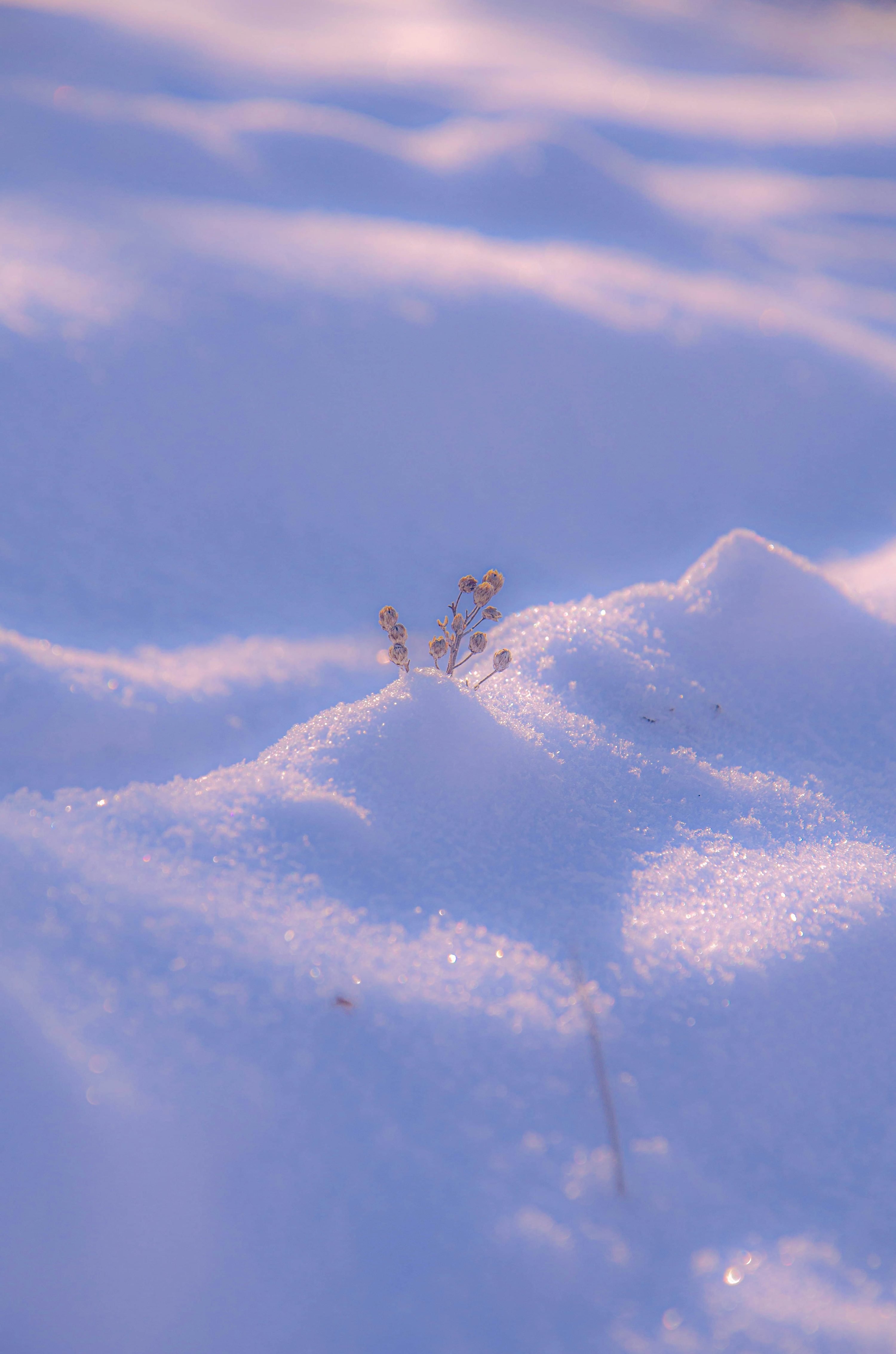 Winter Aesthetic Picture. Download