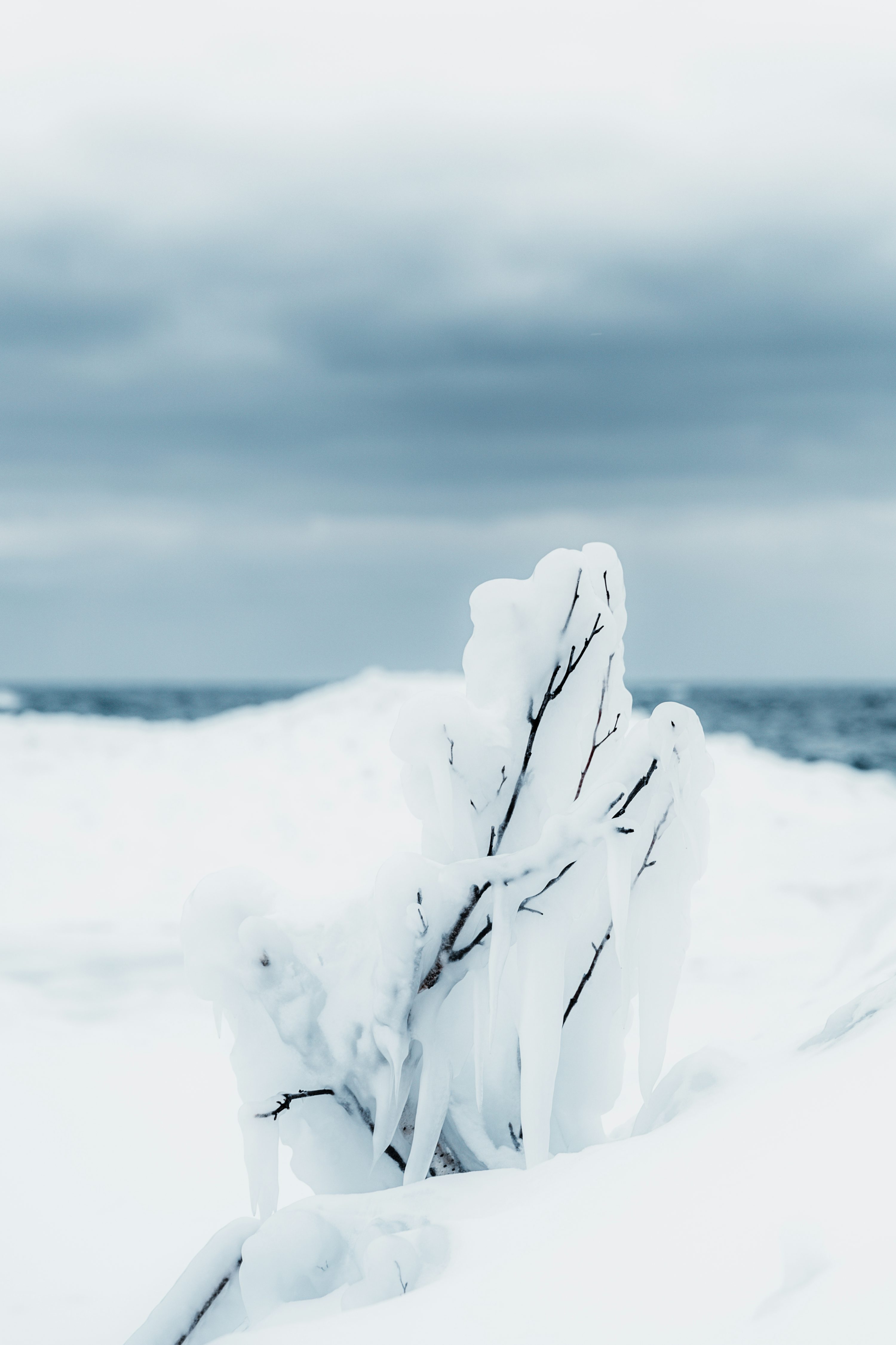 Winter Aesthetic Picture. Download