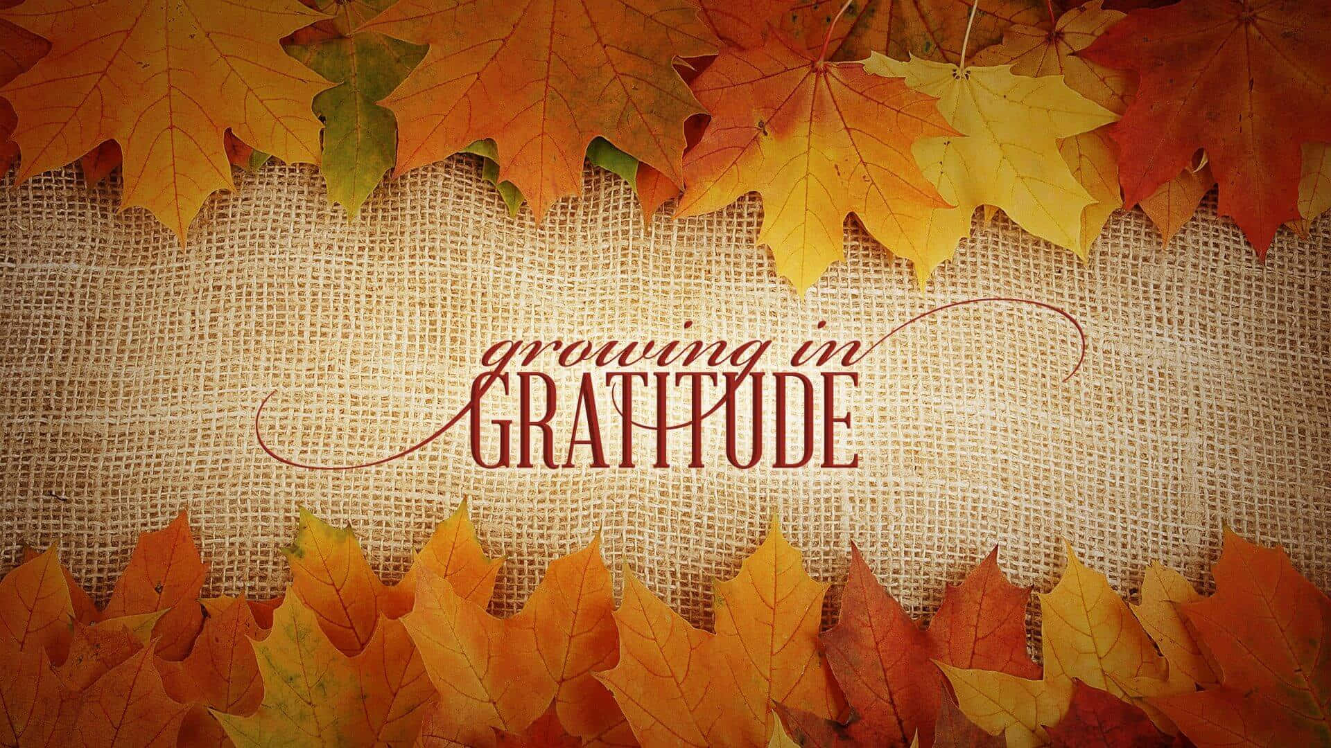 Download Autumn Gratitude Wallpaper