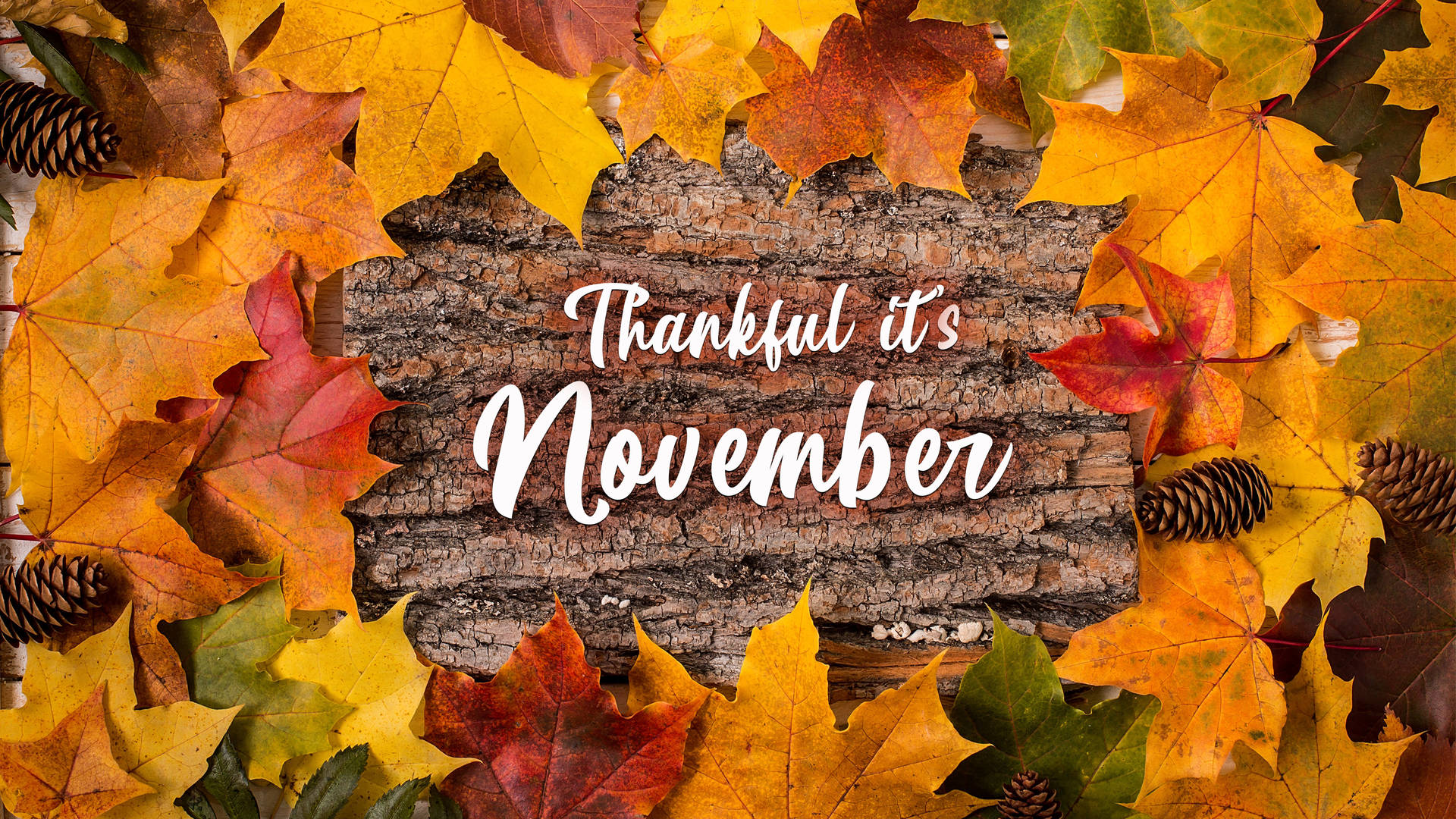 November Autumn Leaves Wallpaper