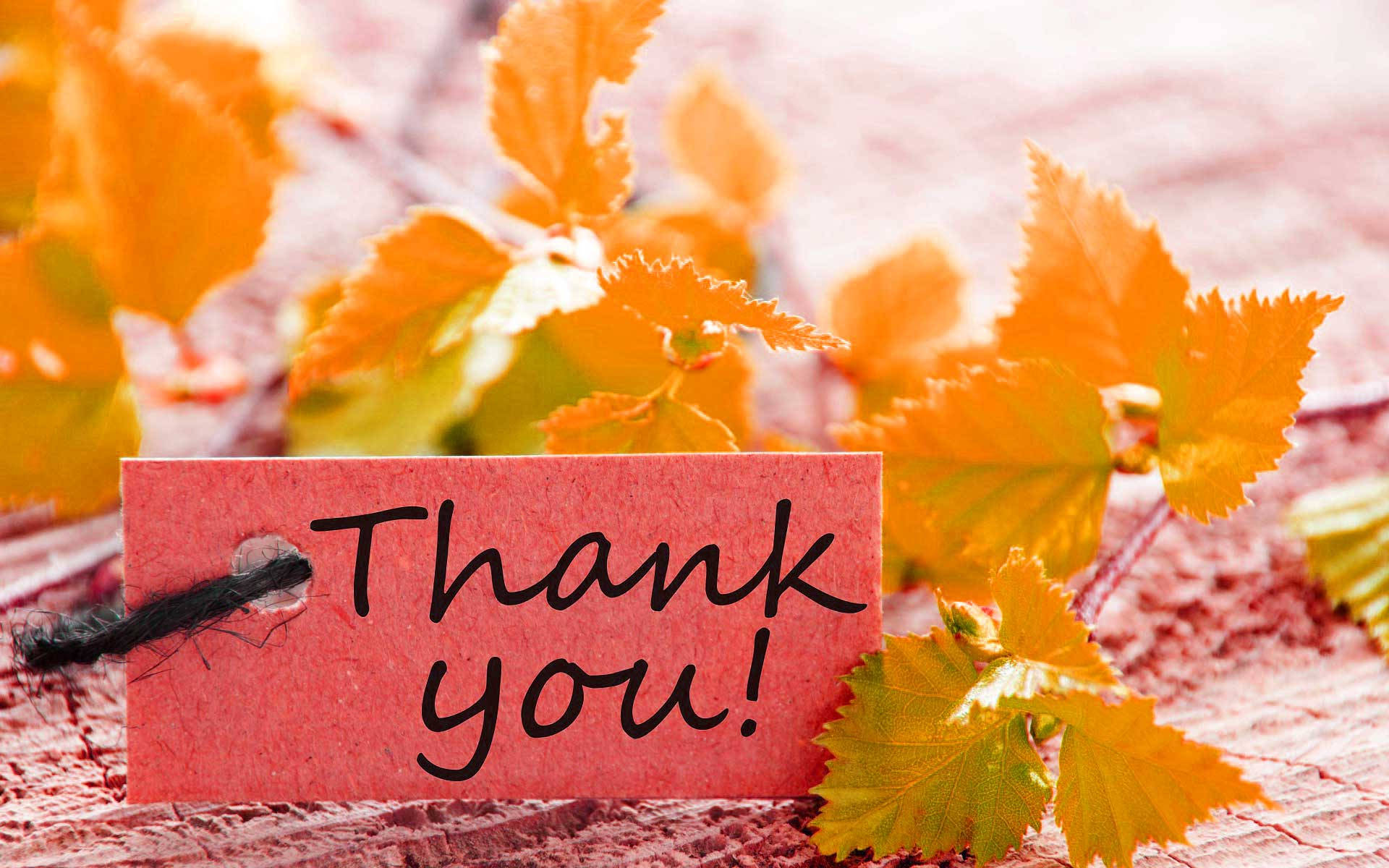 Download Autumn Leaves And Saying