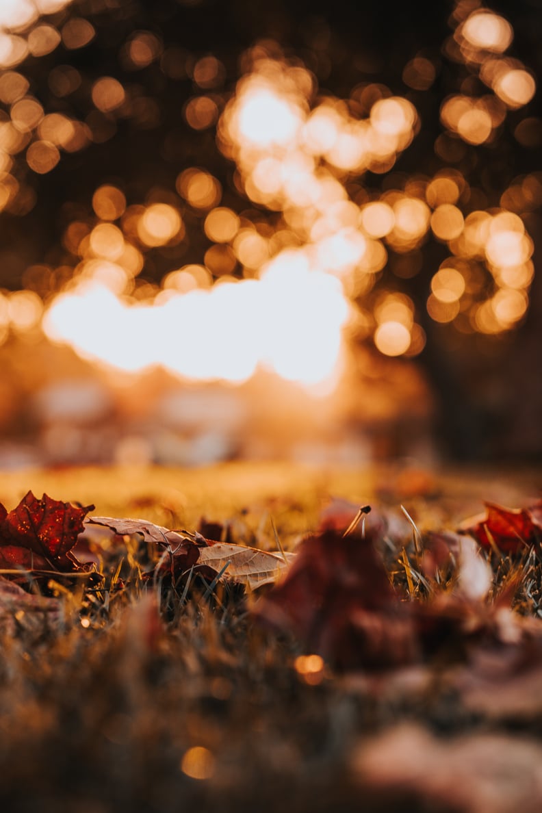 Thanksgiving Wallpaper For iPhone. PS