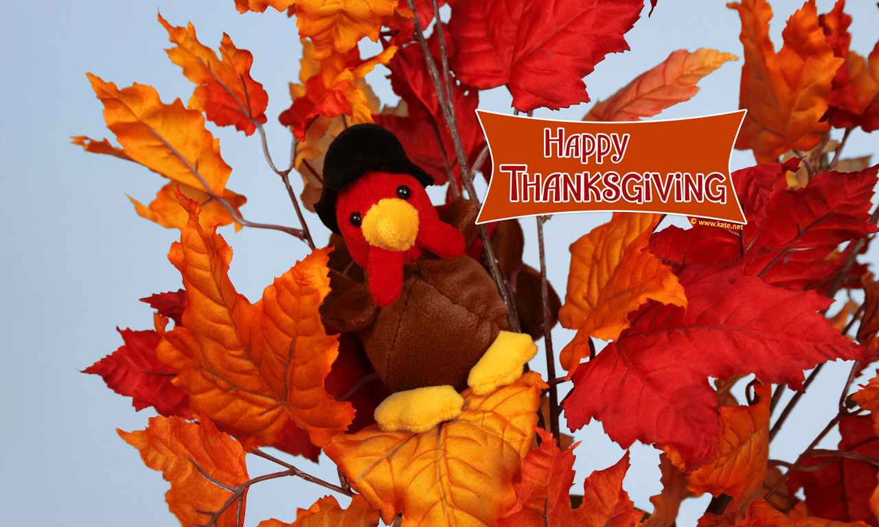Thanksgiving Wallpaper by Kate.net