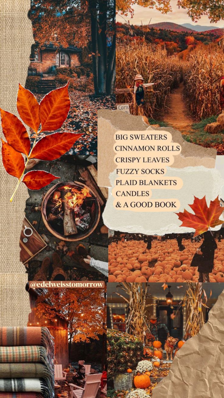edelweisstomorrow #autumn #fall #aesthetic #vintage #nature #vibes #books # wallpaper #art #quotes #pumpkin