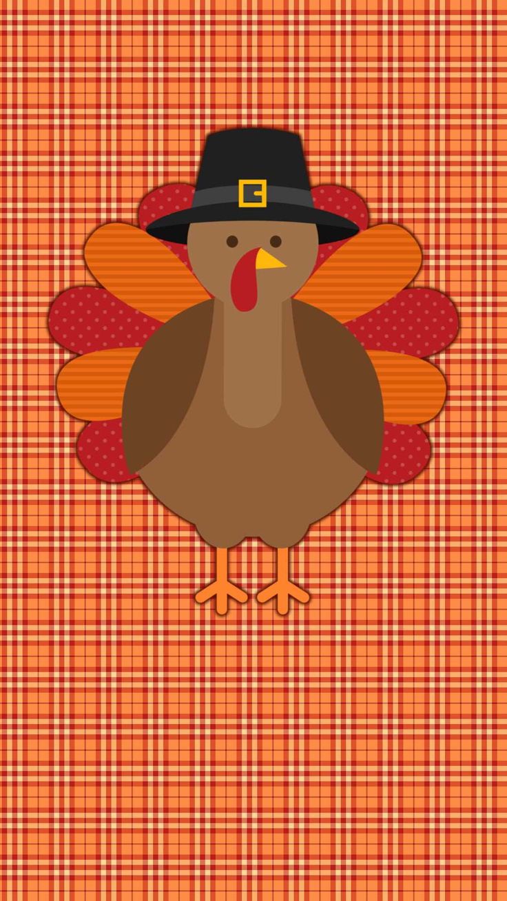Cute Turkey Wallpaper