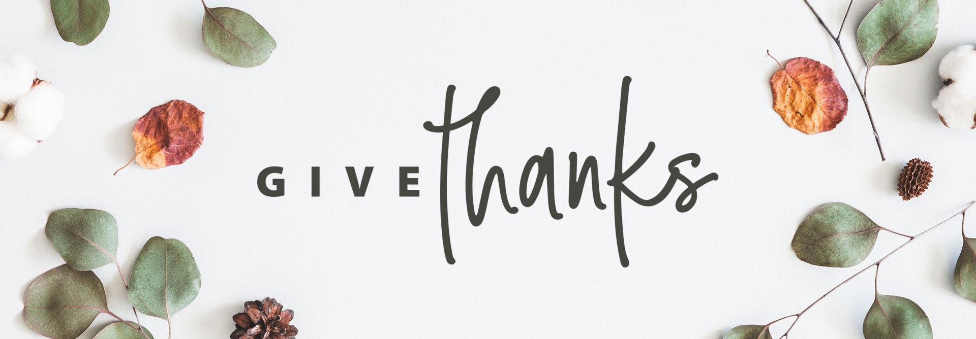 Thanksgiving Wallpaper • FREE Download