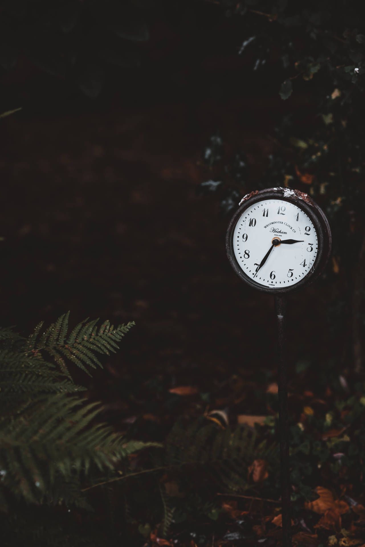 Download Clock On The Ground Wallpaper