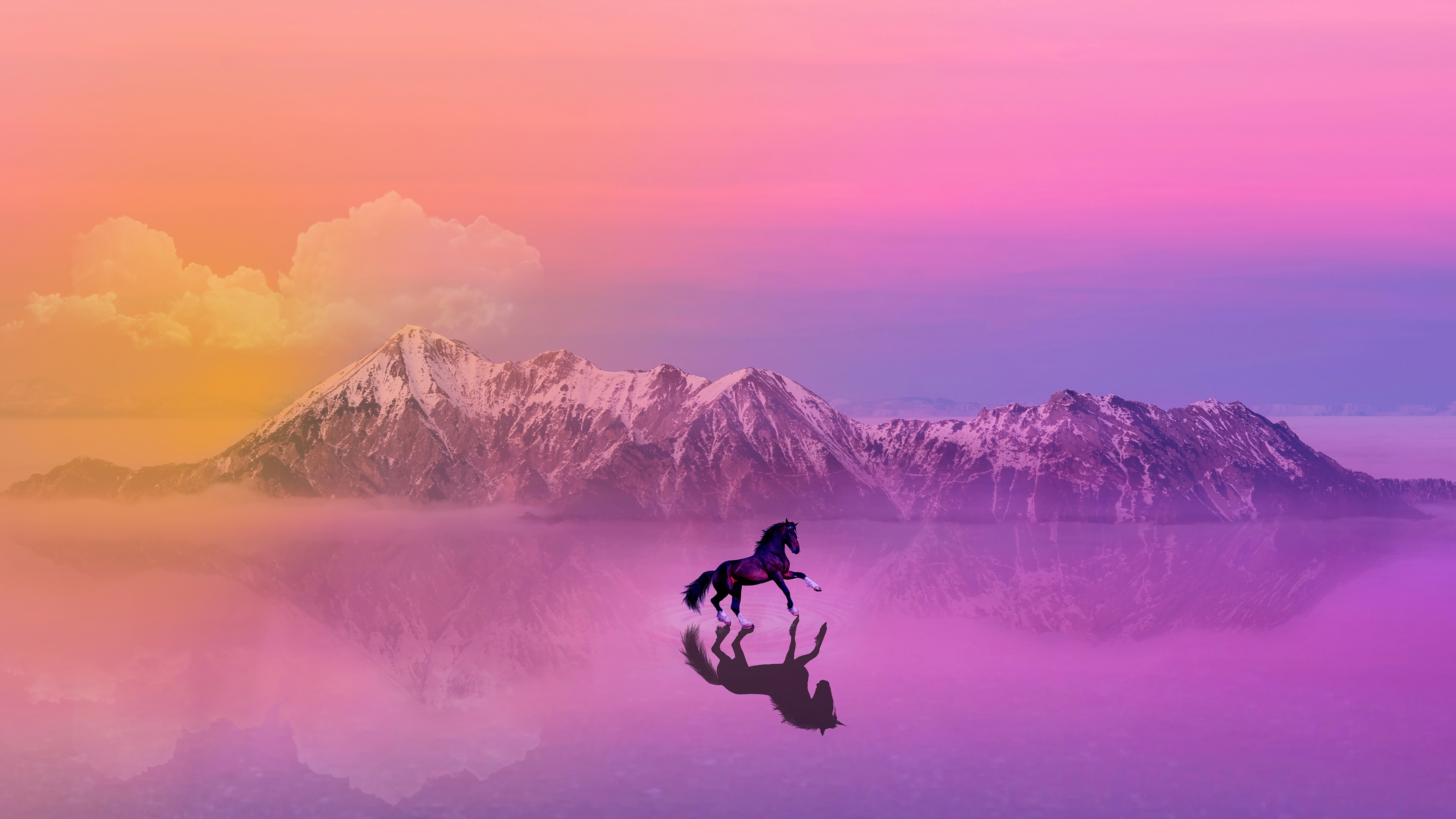 Horse Lscape 4K Wallpaper
