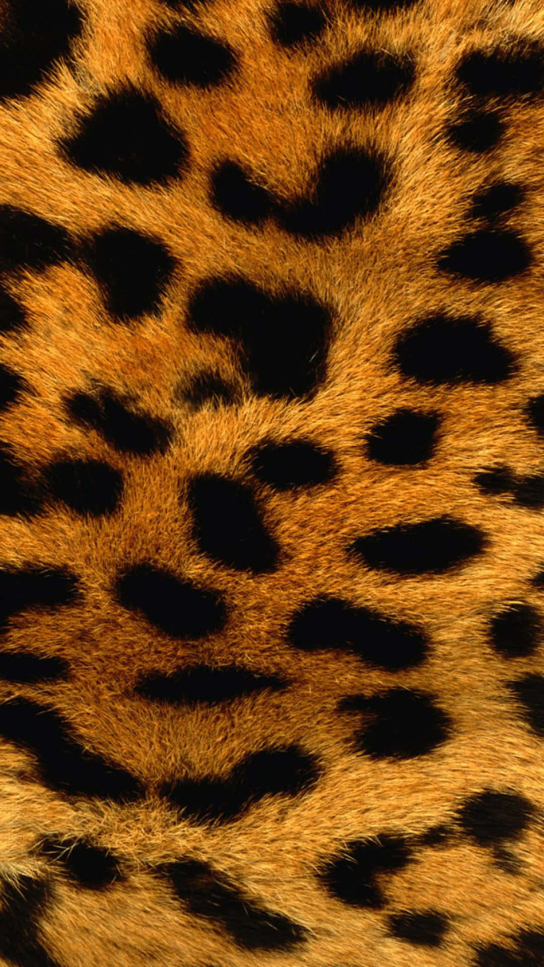 Download Animal Print Cheetah Wallpaper