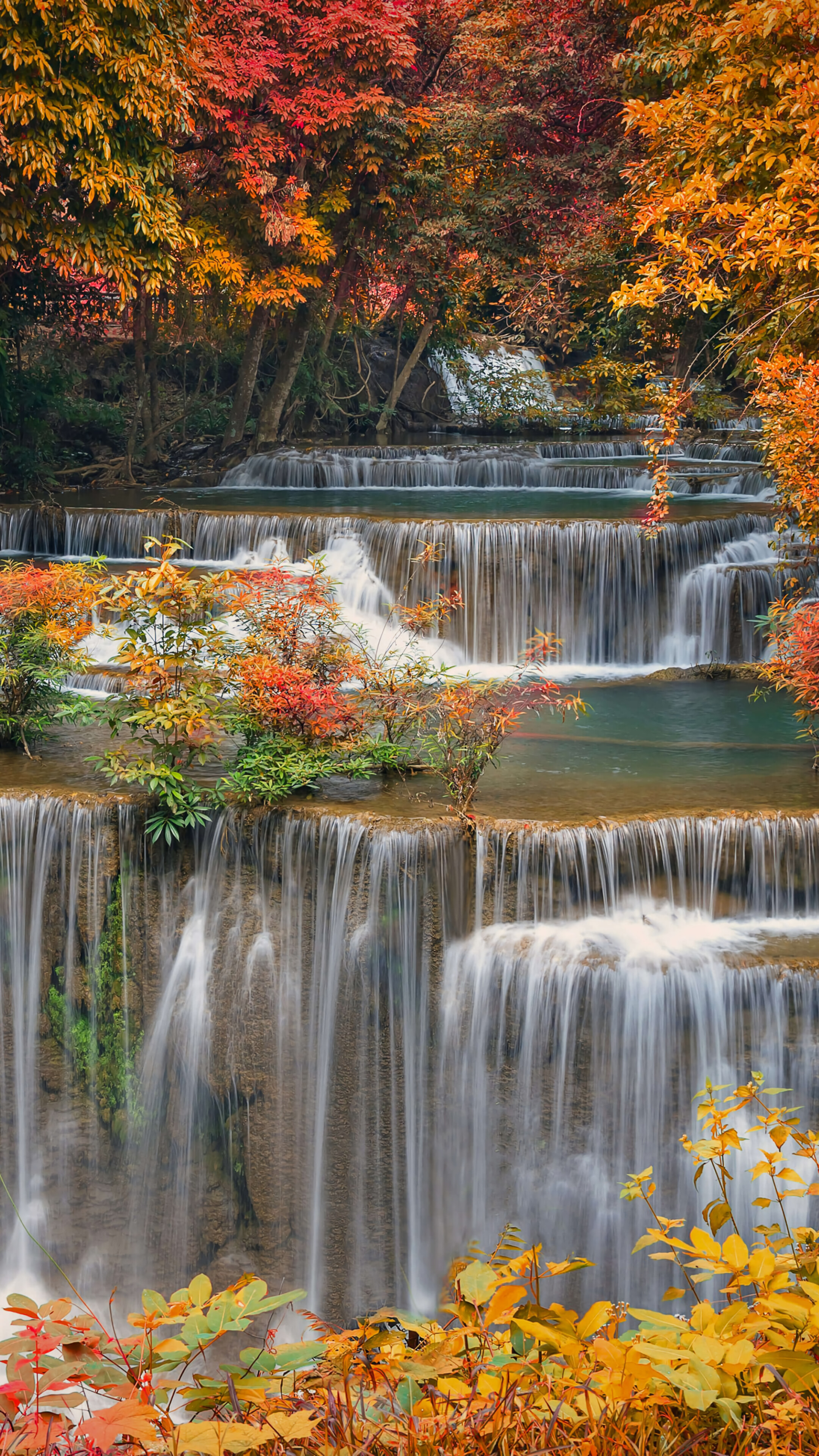 Waterfall Autumn Forest Nature Scenery Wallpaper iPhone Phone 4K e