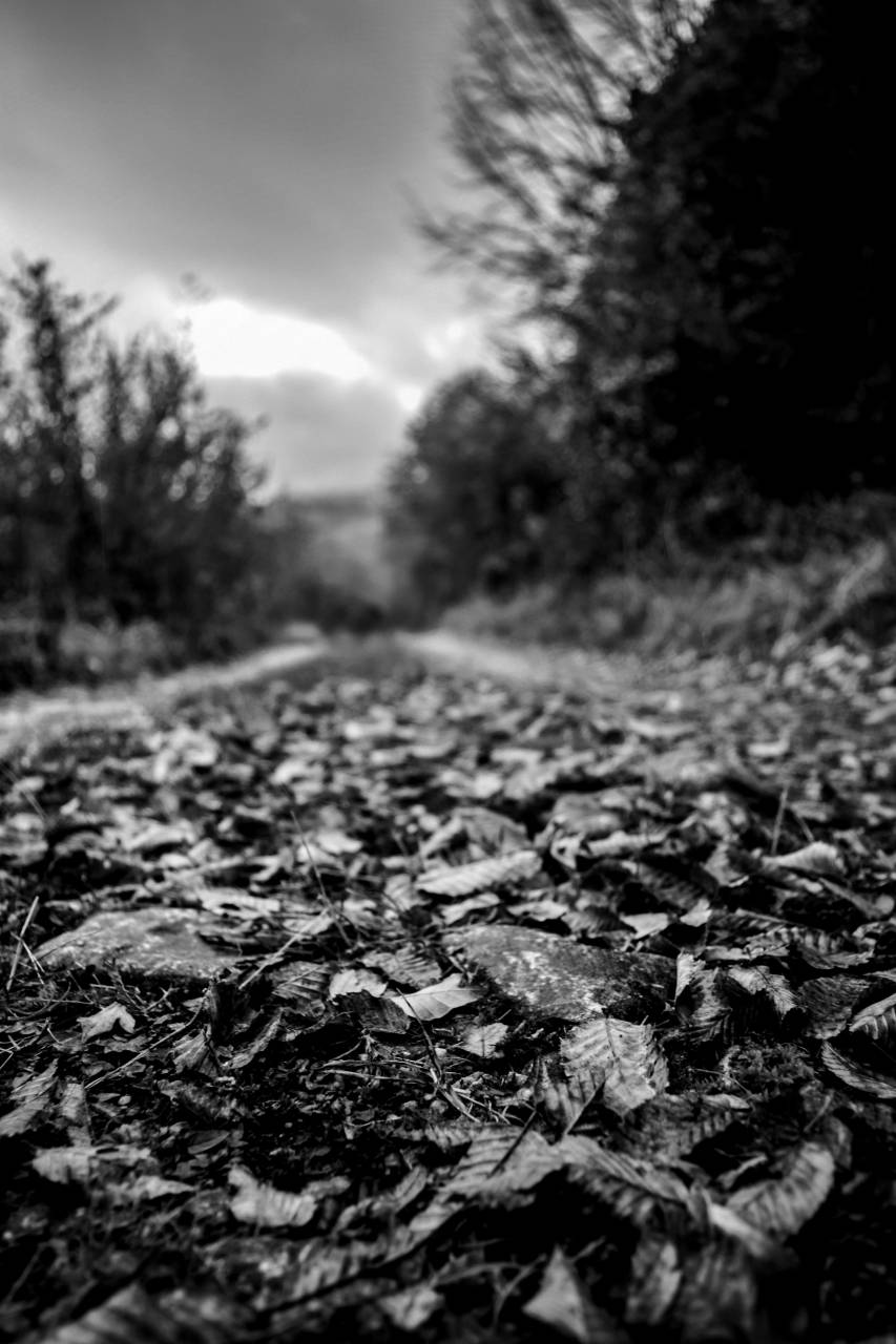 4k Wallpaper Autumn Colors Autumn