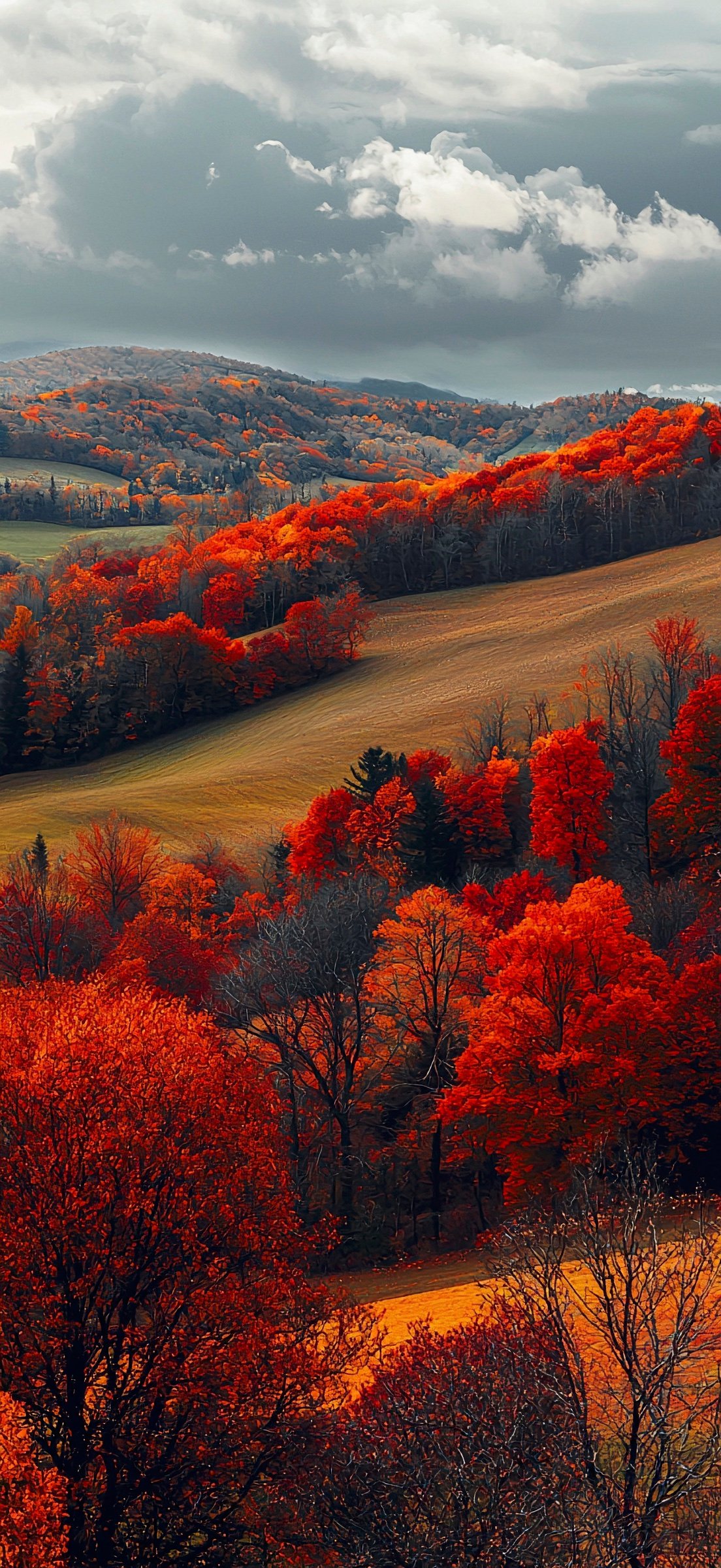 Fall iPhone Wallpaper: Bring