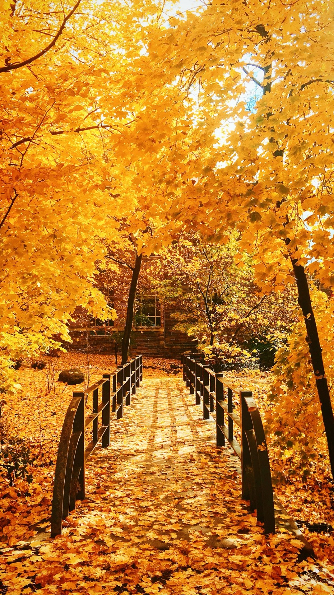 Autumn 4k Wallpaper Ultra 4k