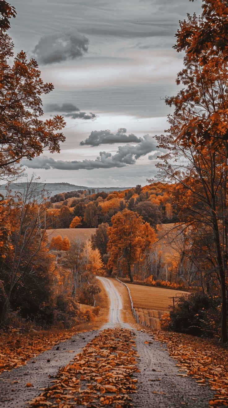 Fall wallpaper, Fall background, Autumn