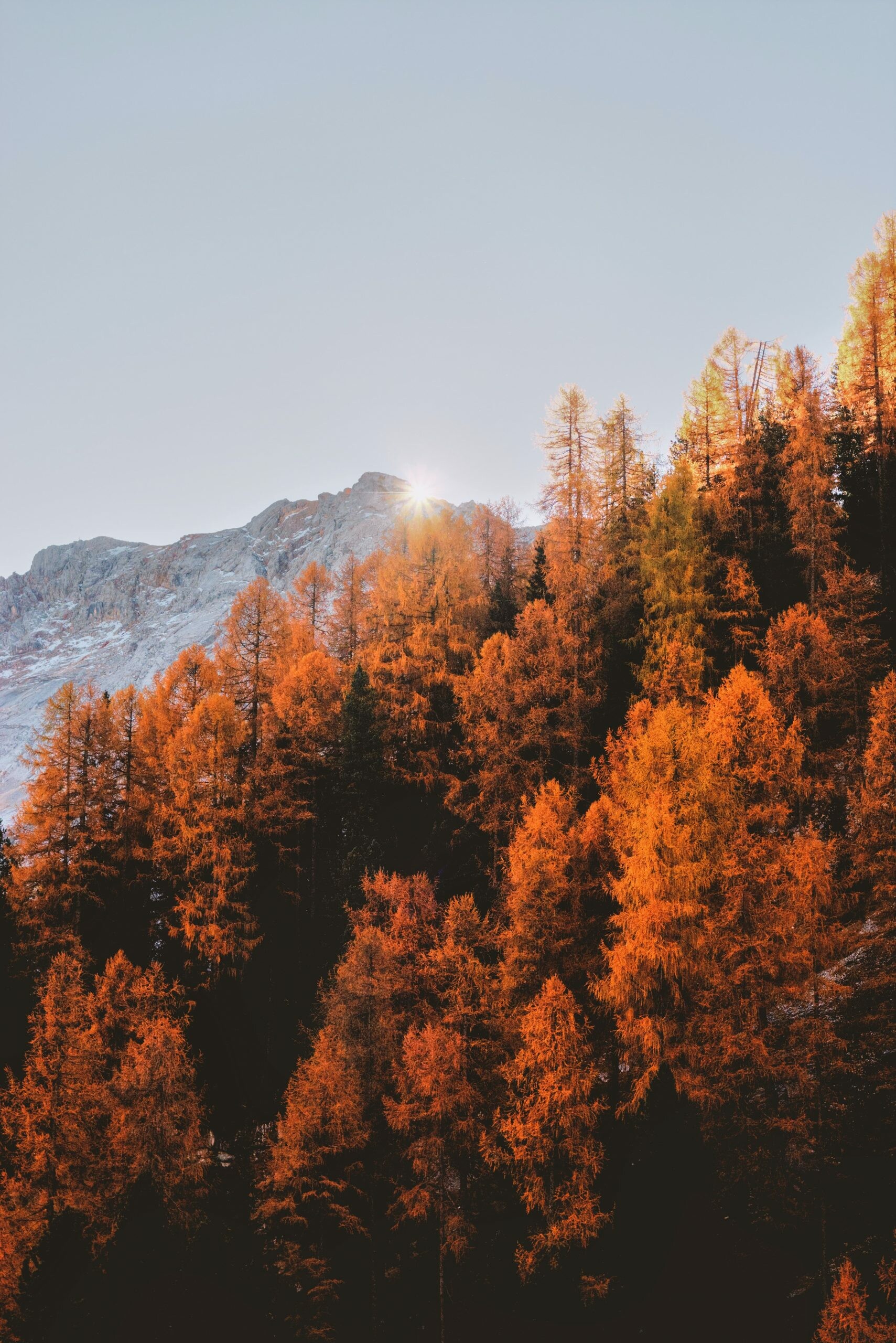 Autumn Wallpaper