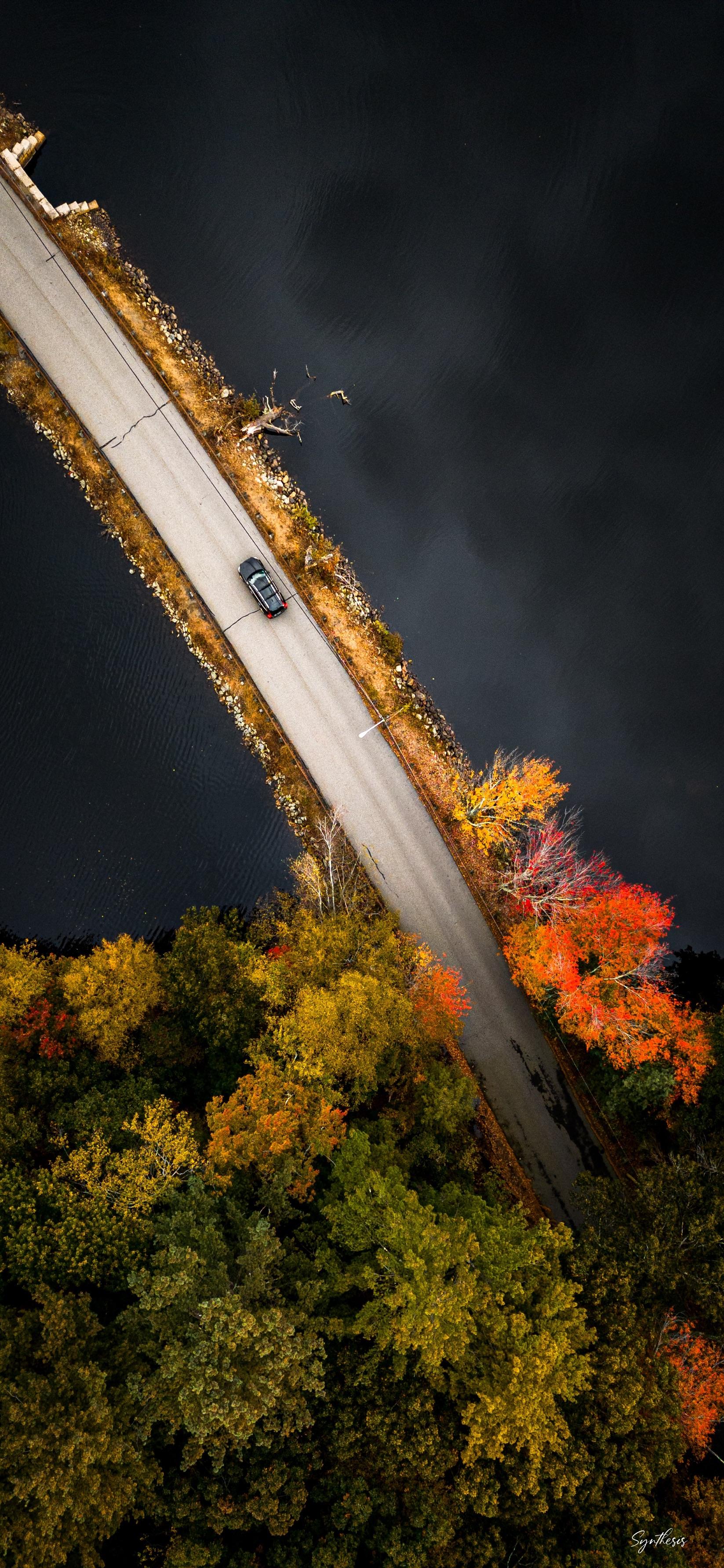 Fall iPhone wallpaper