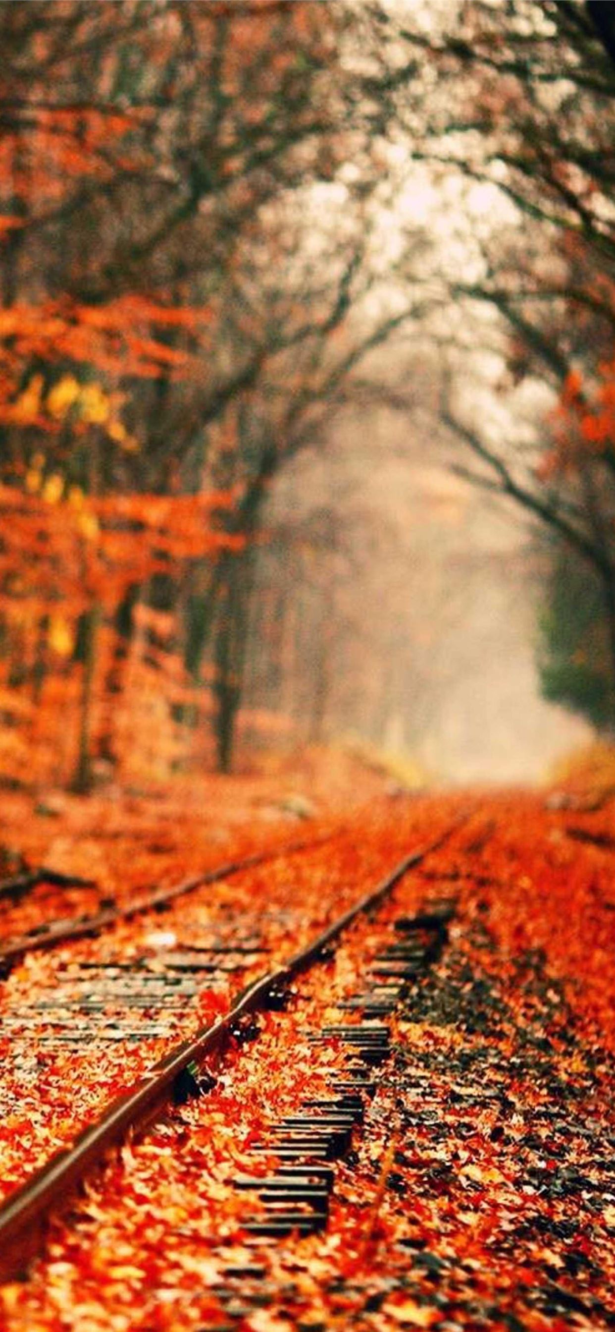Fall Awesome Free HD iPhone Wallpaper