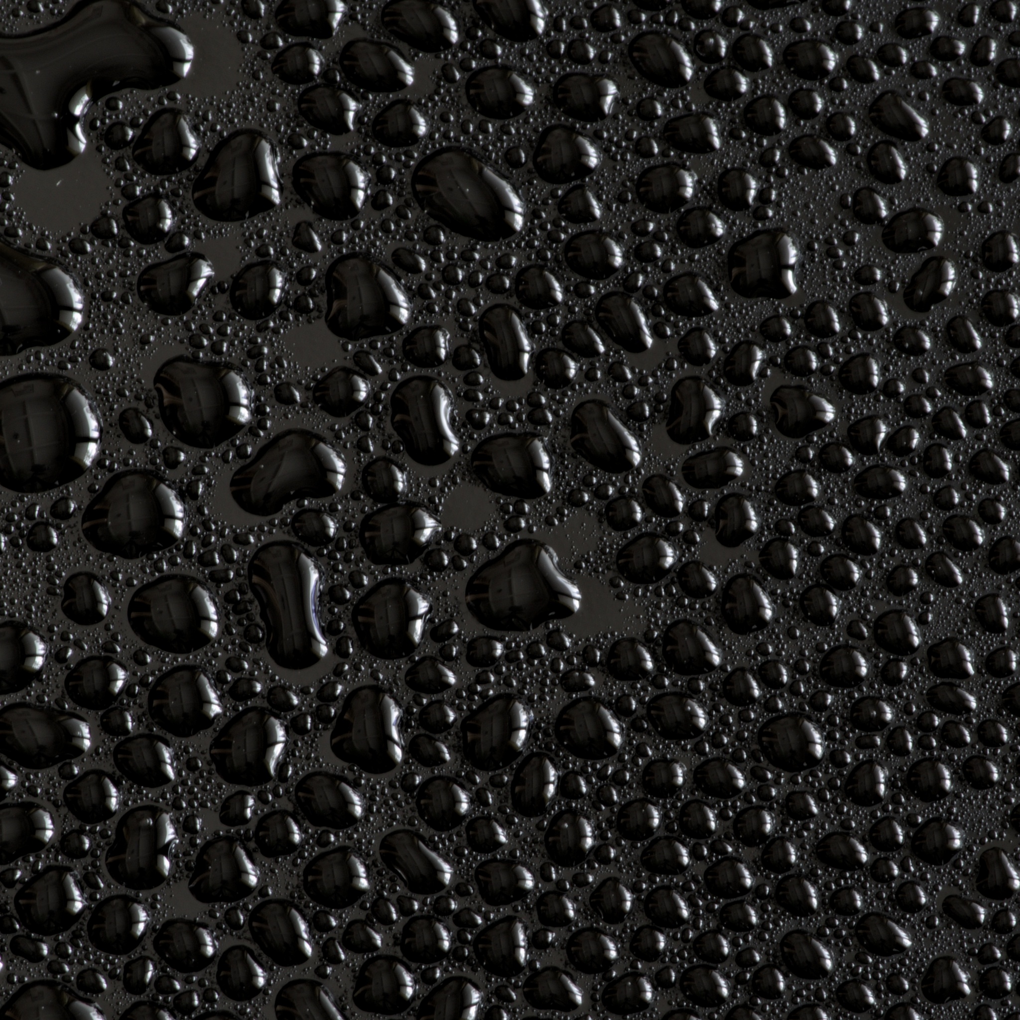 Water droplets Wallpaper 4K, Black