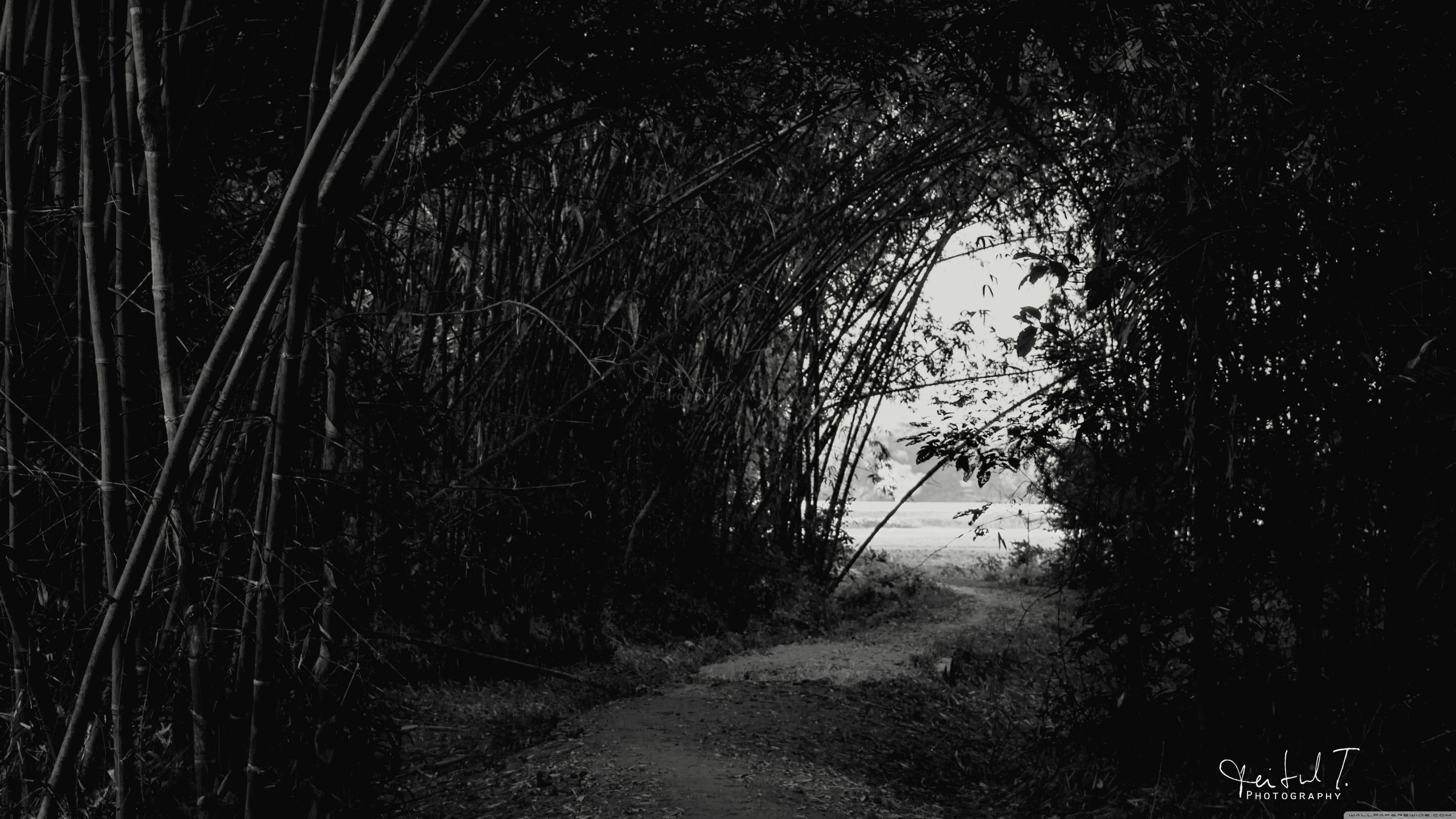 Darkness 4K Wallpaper