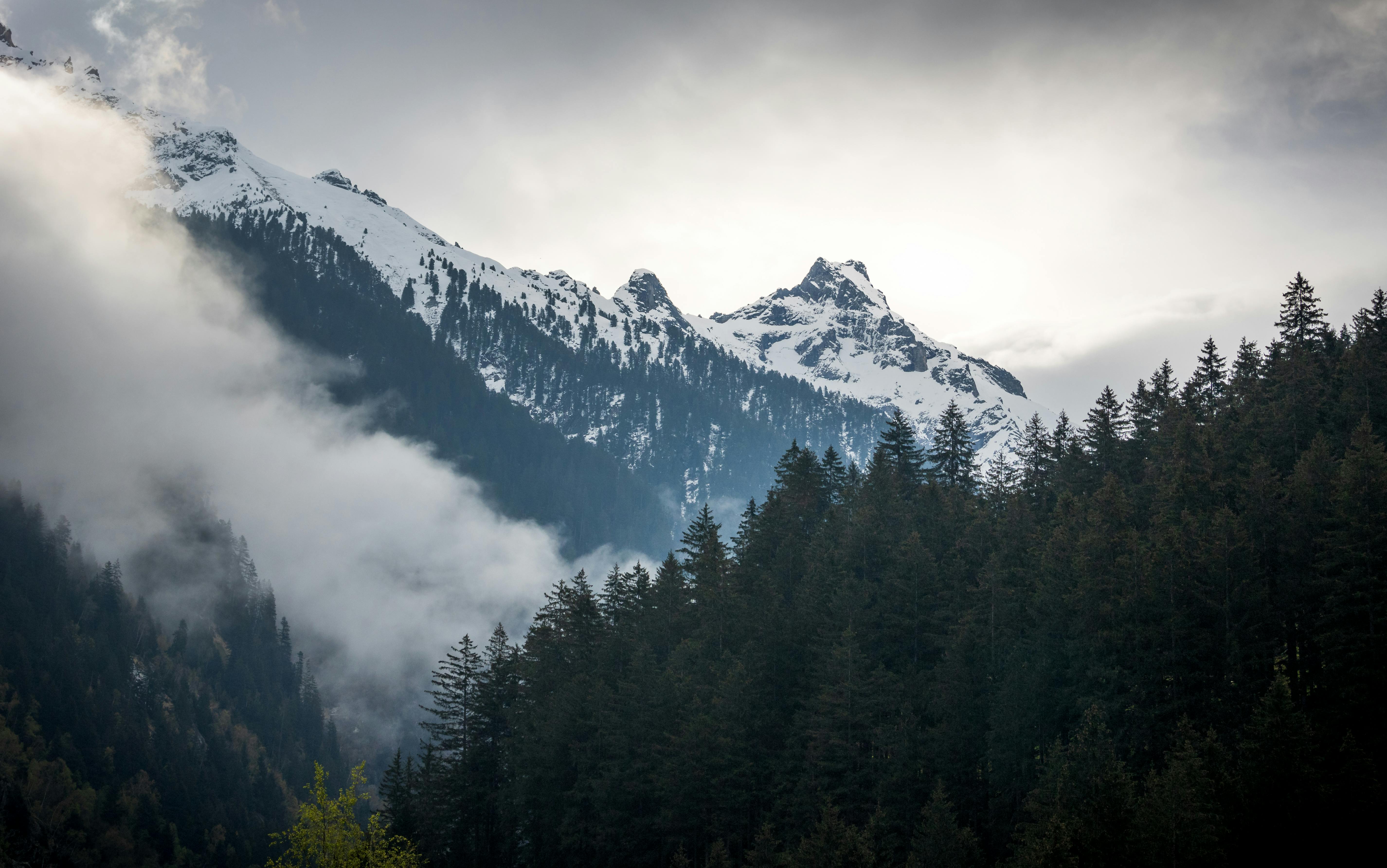 A mountain range with trees and clouds