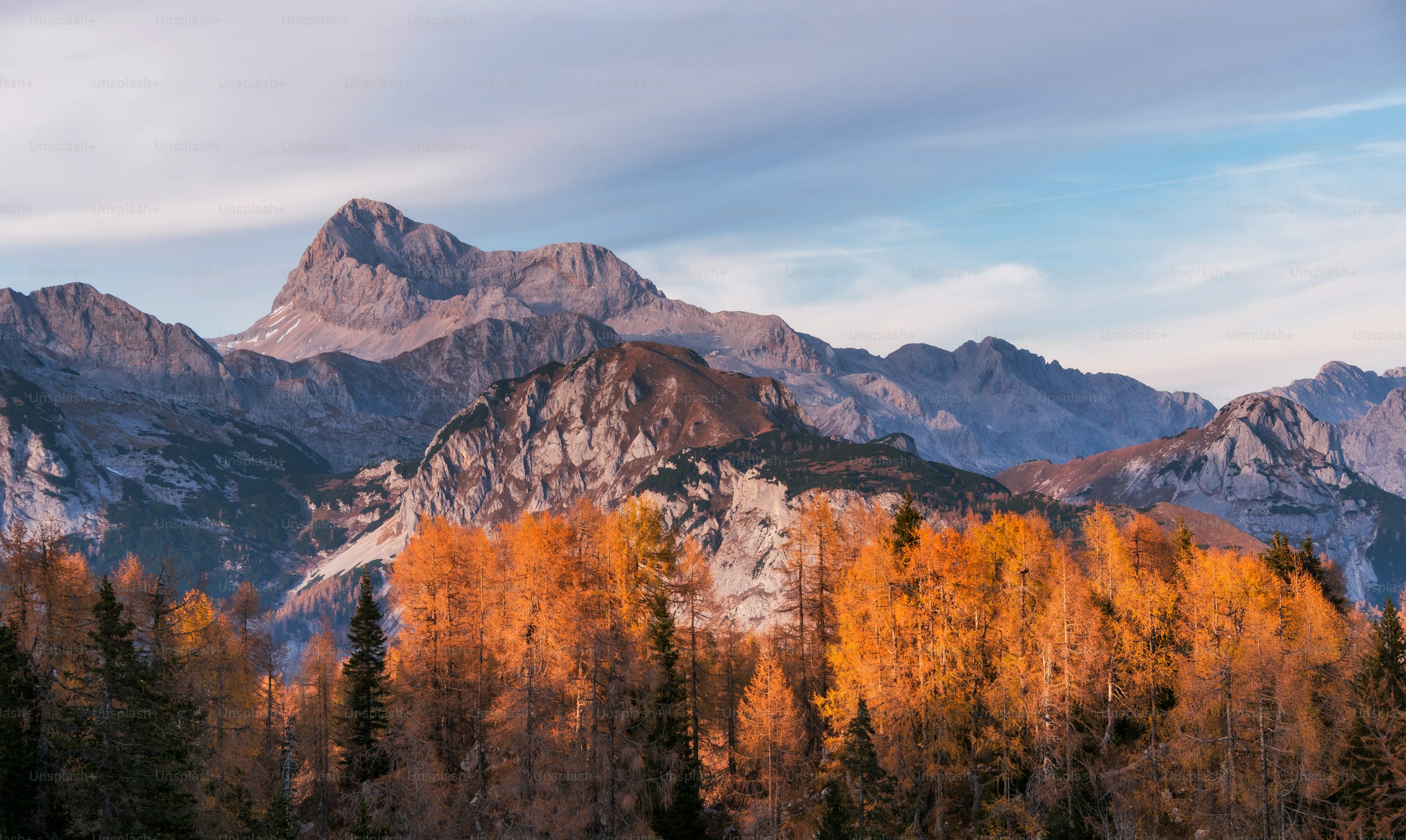 Forest Mountain Picture HD