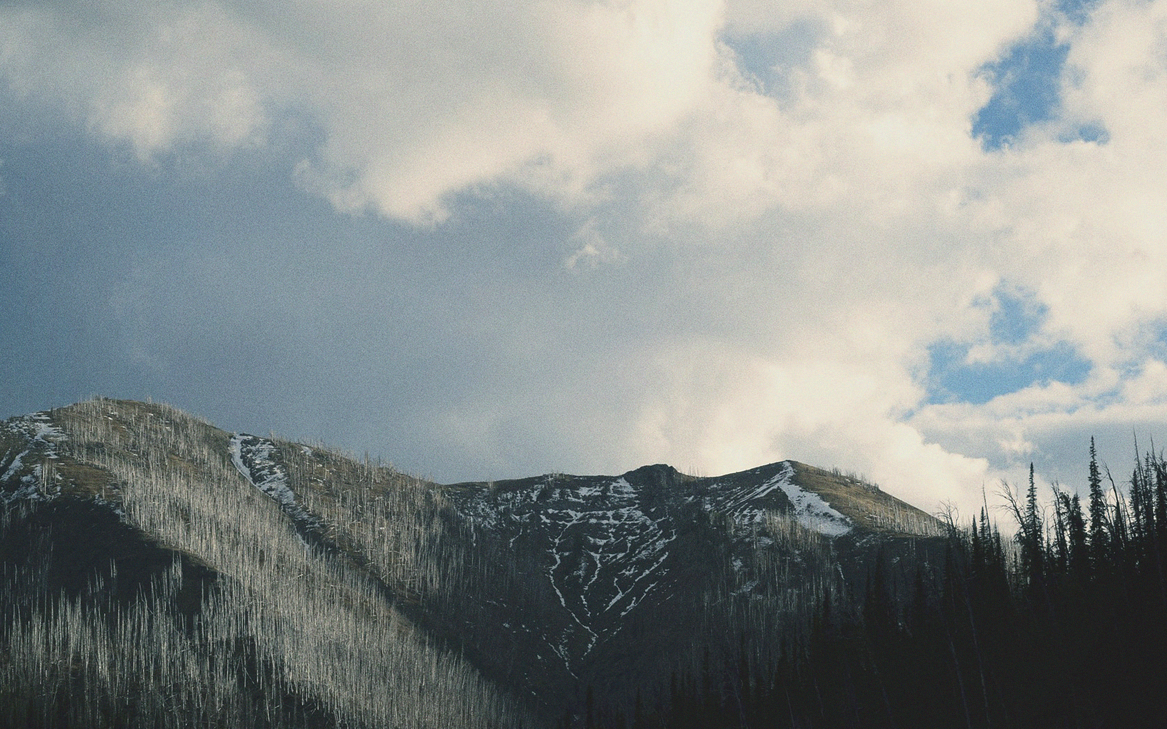 Mountain Forest Vintage Nature