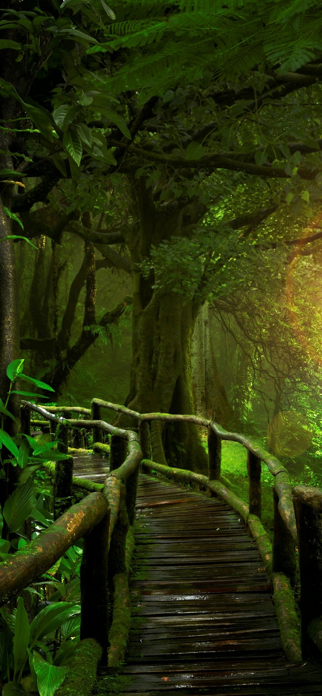 Made Boardwalk Phone Wallpaper