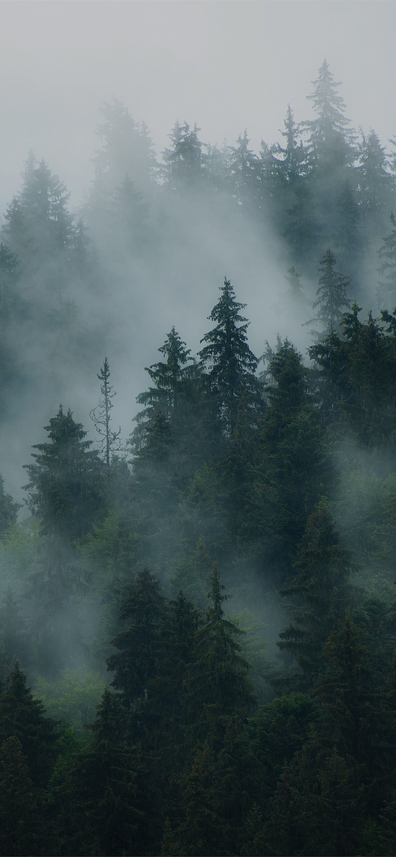 Latest Mist iPhone HD Wallpaper