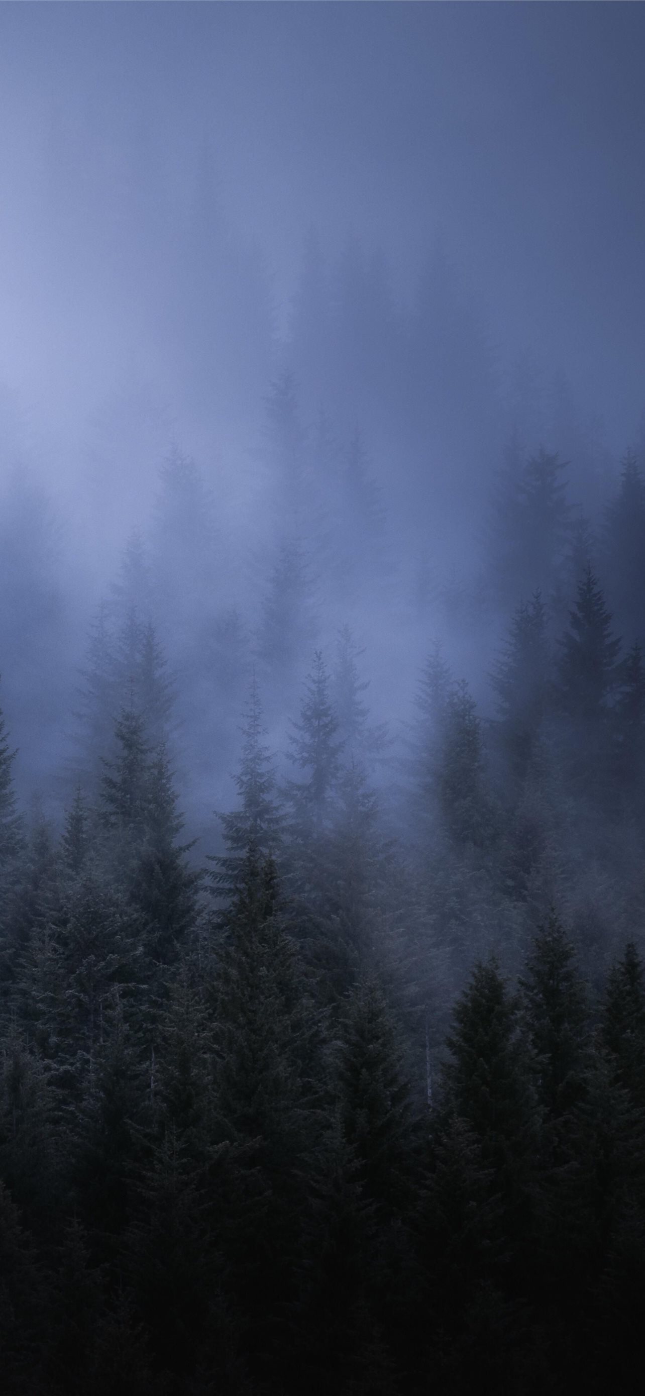 Mist Top Free Mist Background Access