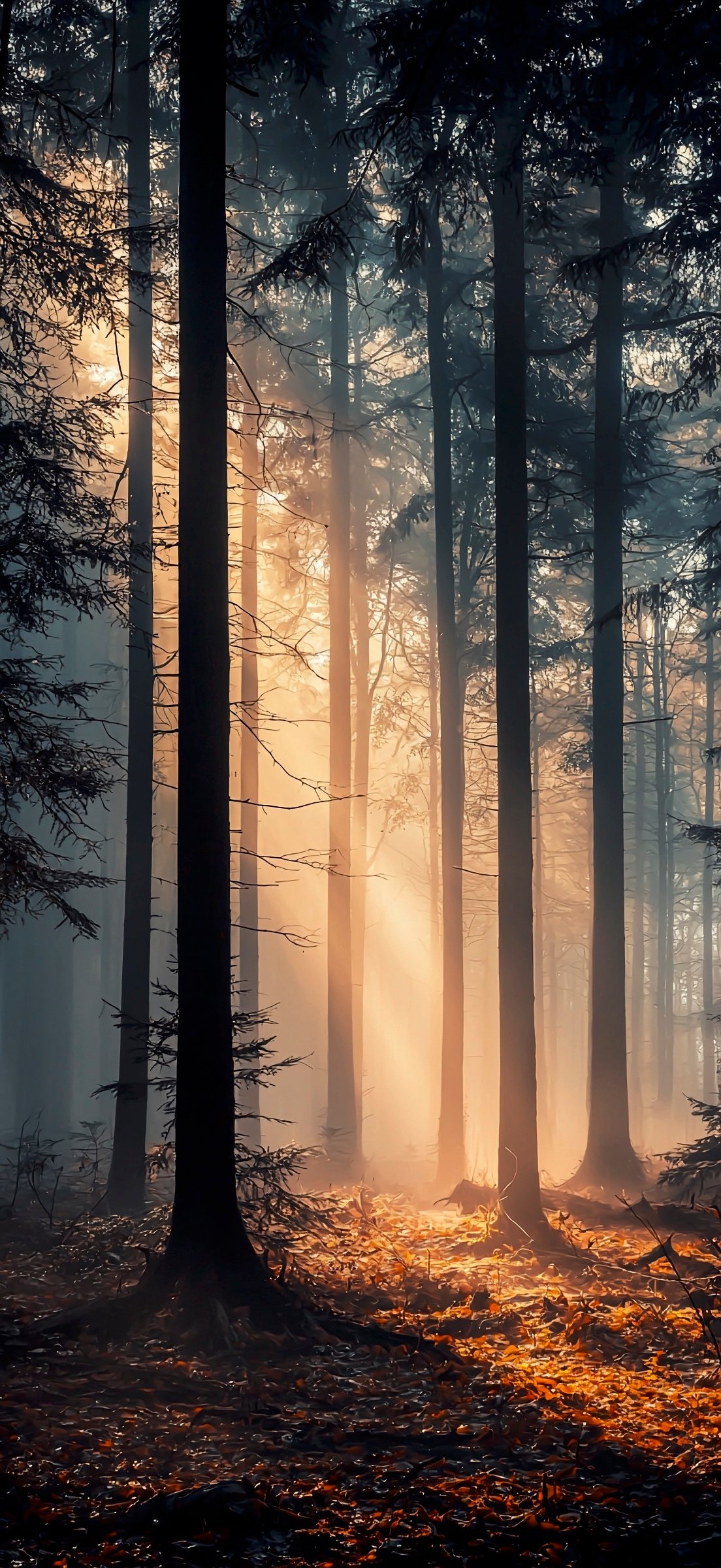 iPhone Nature Wallpaper: Explore