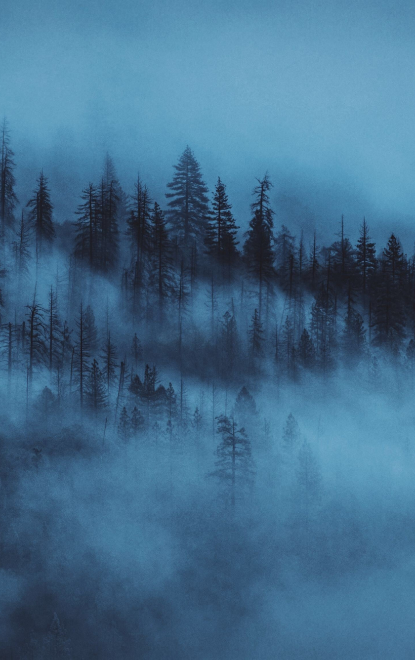 Download wallpaper 840x1336 dark, mist