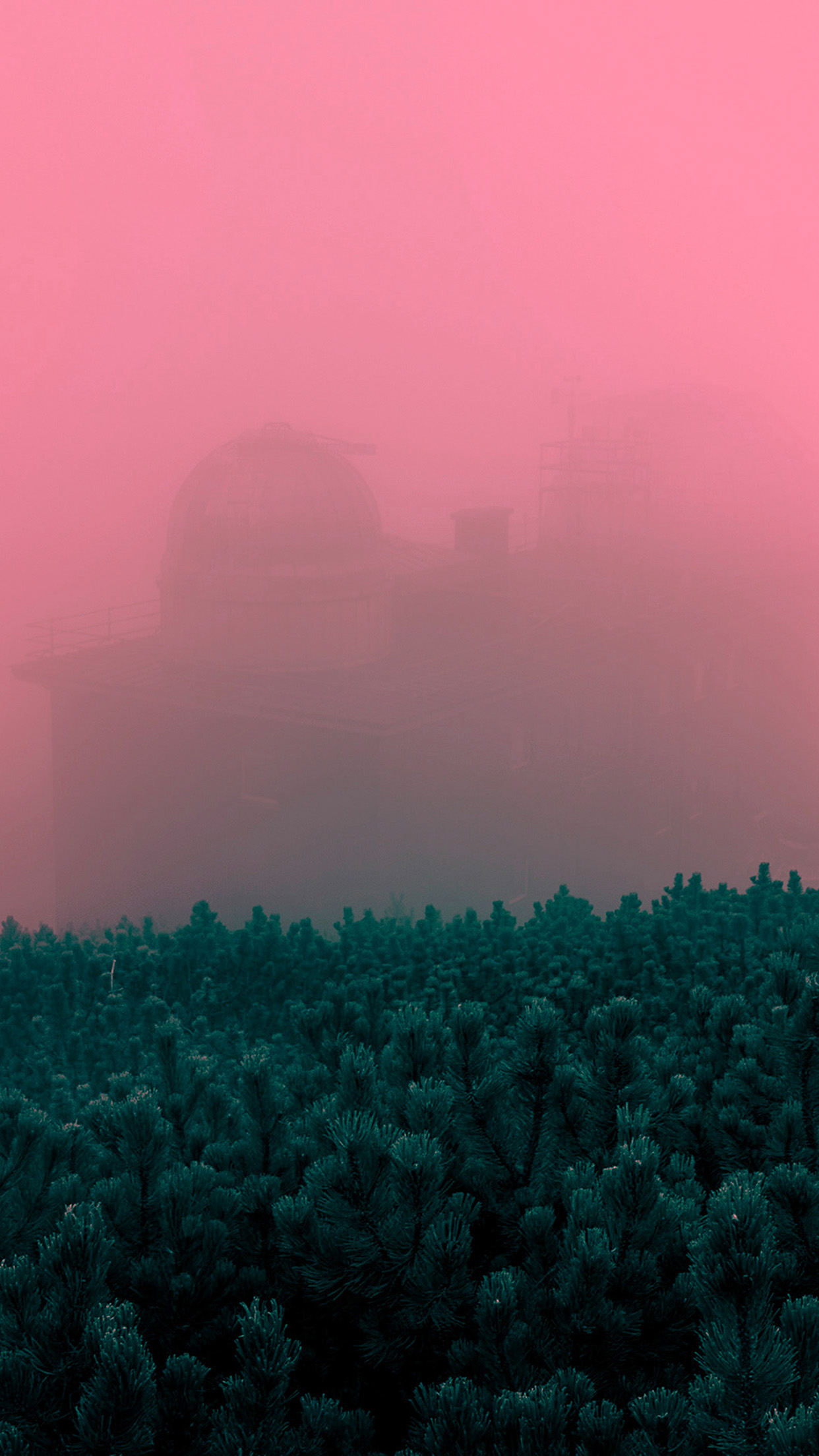 Art Wood Fog Red Simple Wallpaper