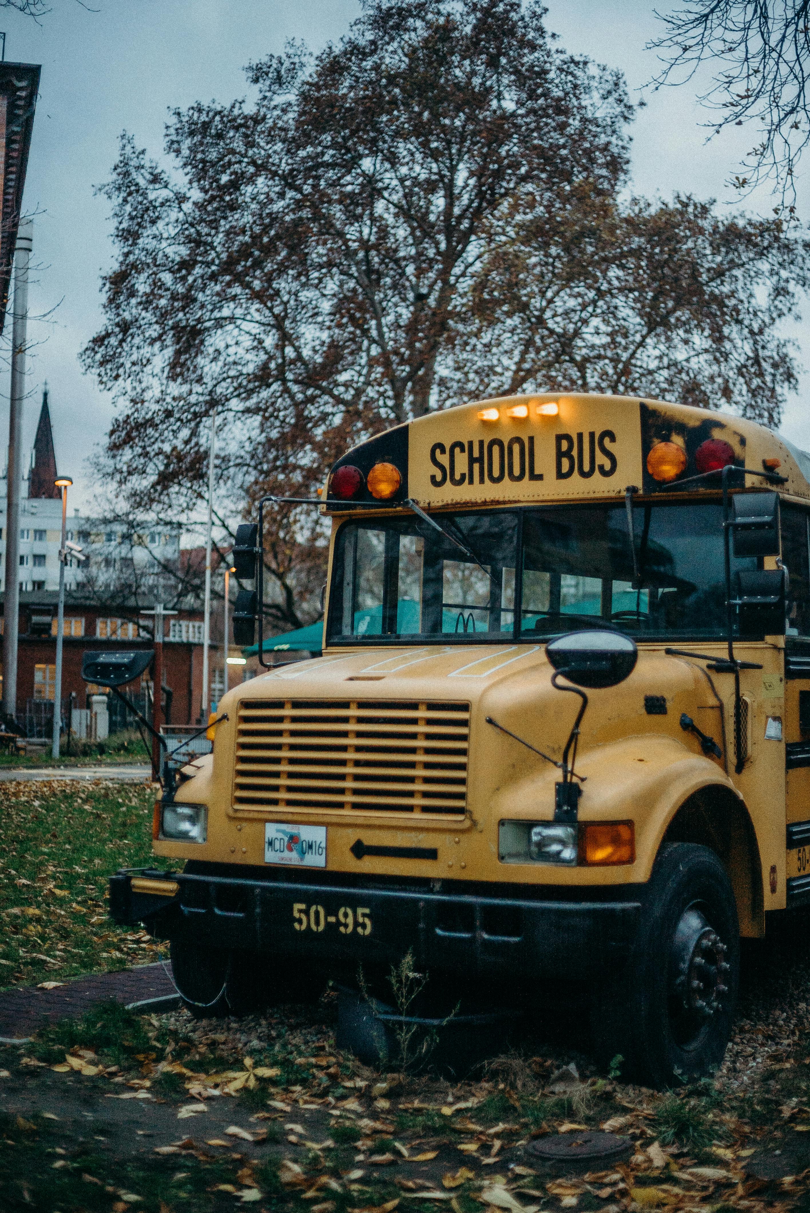 School Bus Photo, Download The BEST