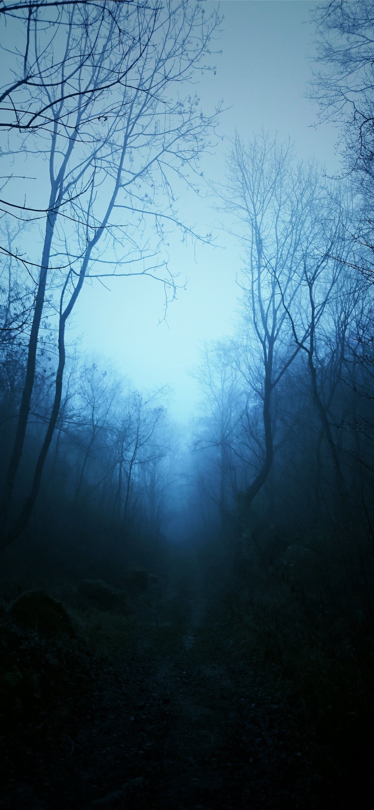 Latest Mist iPhone HD Wallpaper