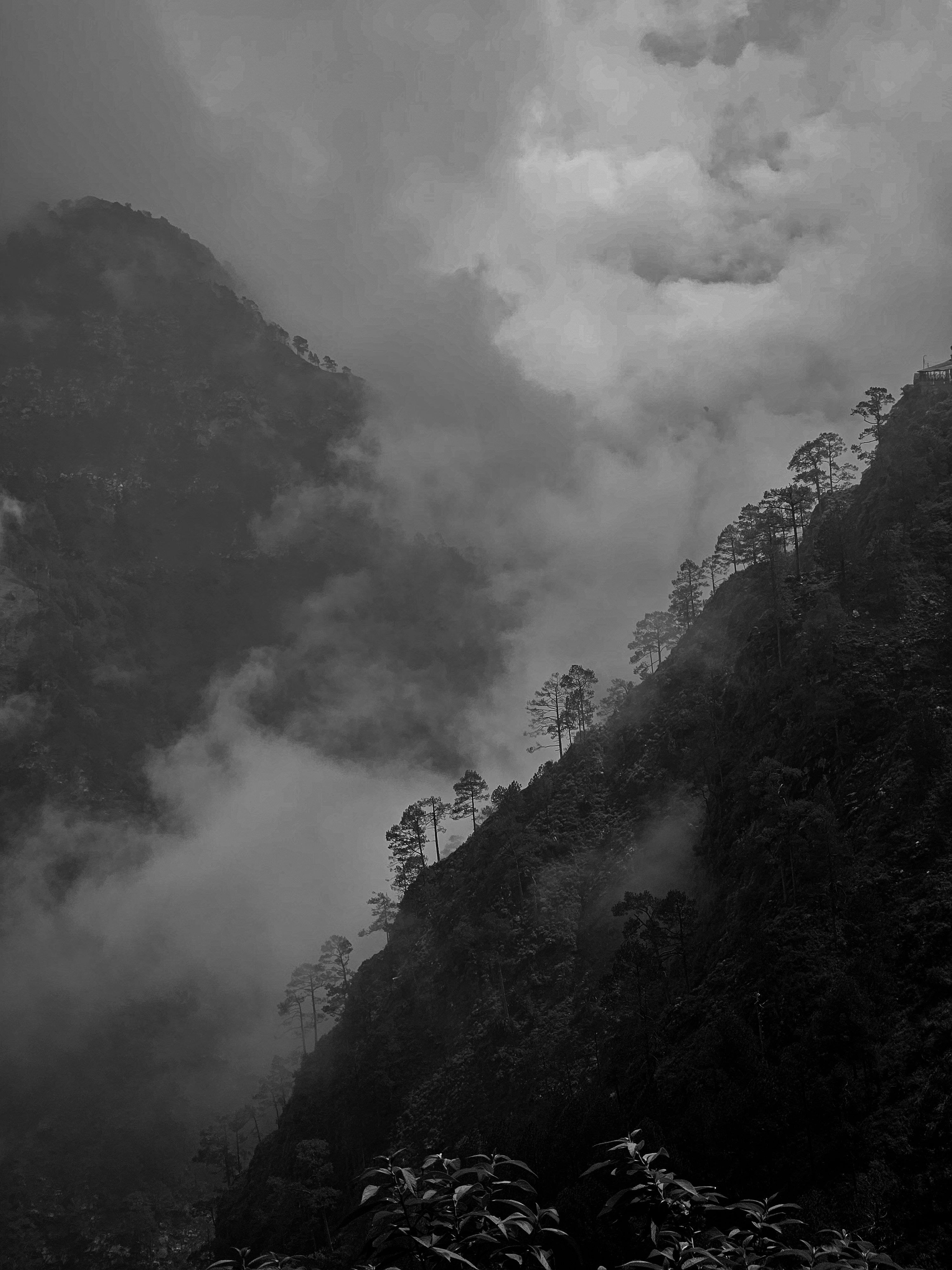 Hd iPhone Wallpaper Picture