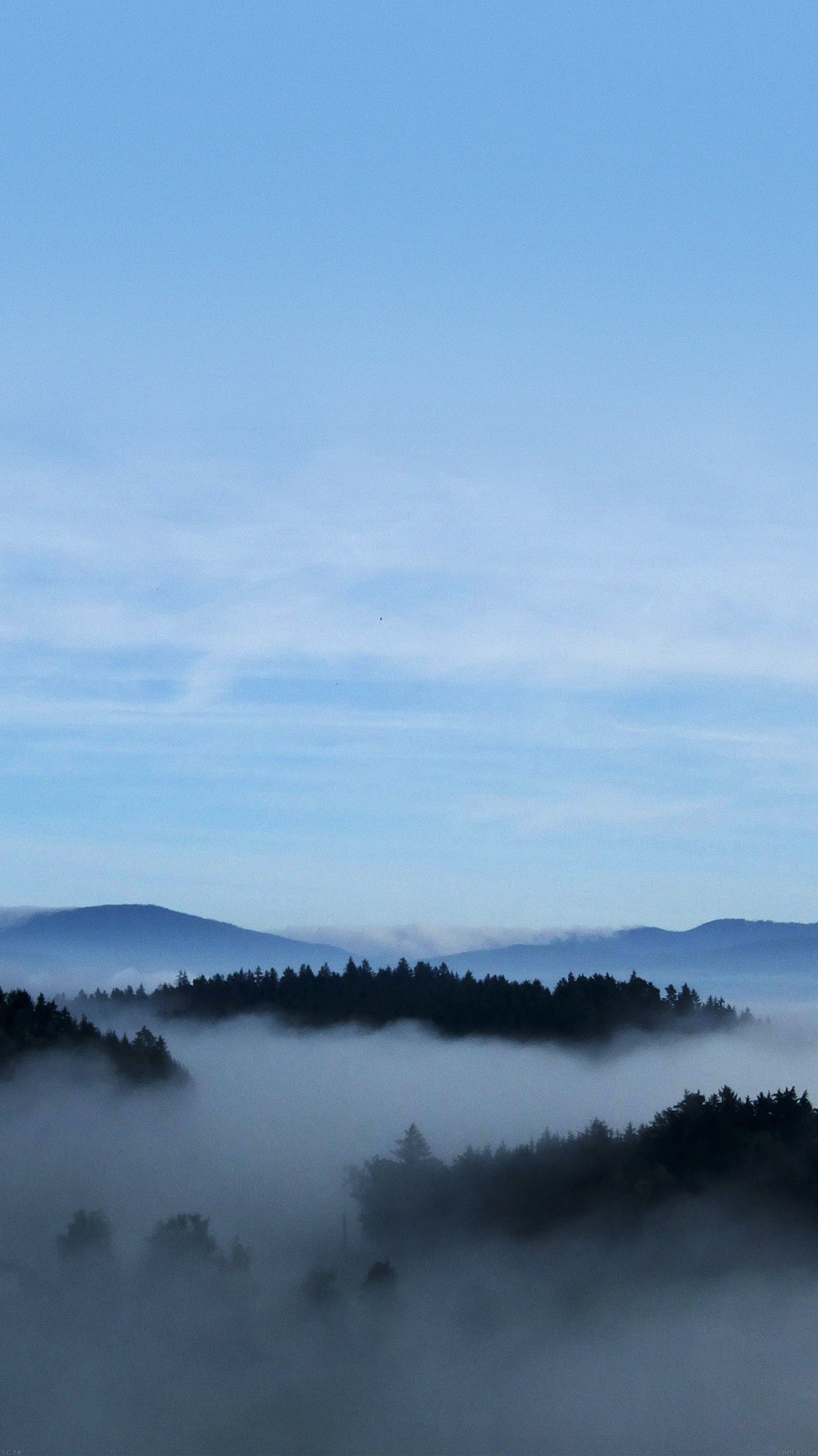 Mist Earth Mountain Fog