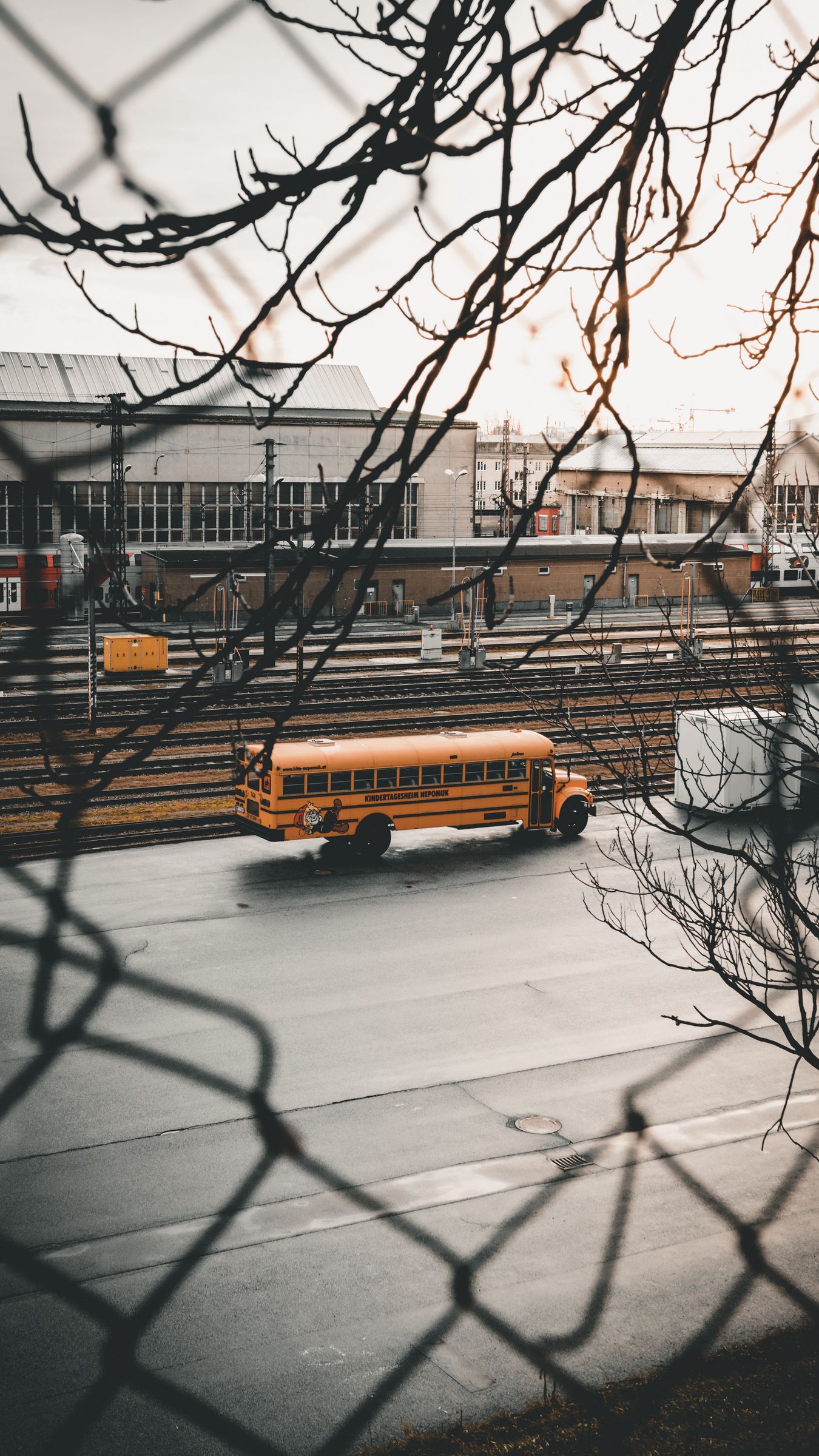 wallpaper 1350x2400 bus, branches, road