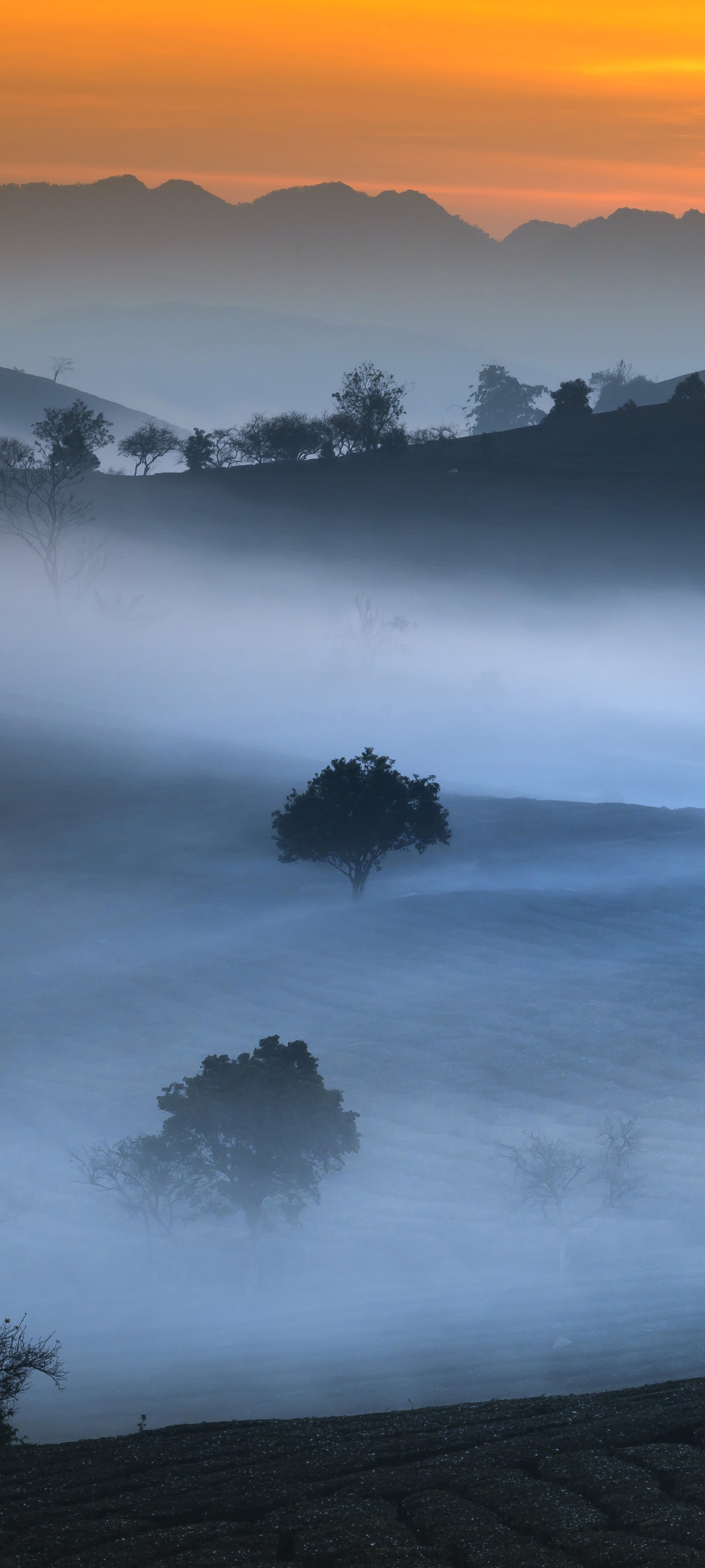 Fog iPhone Wallpaper