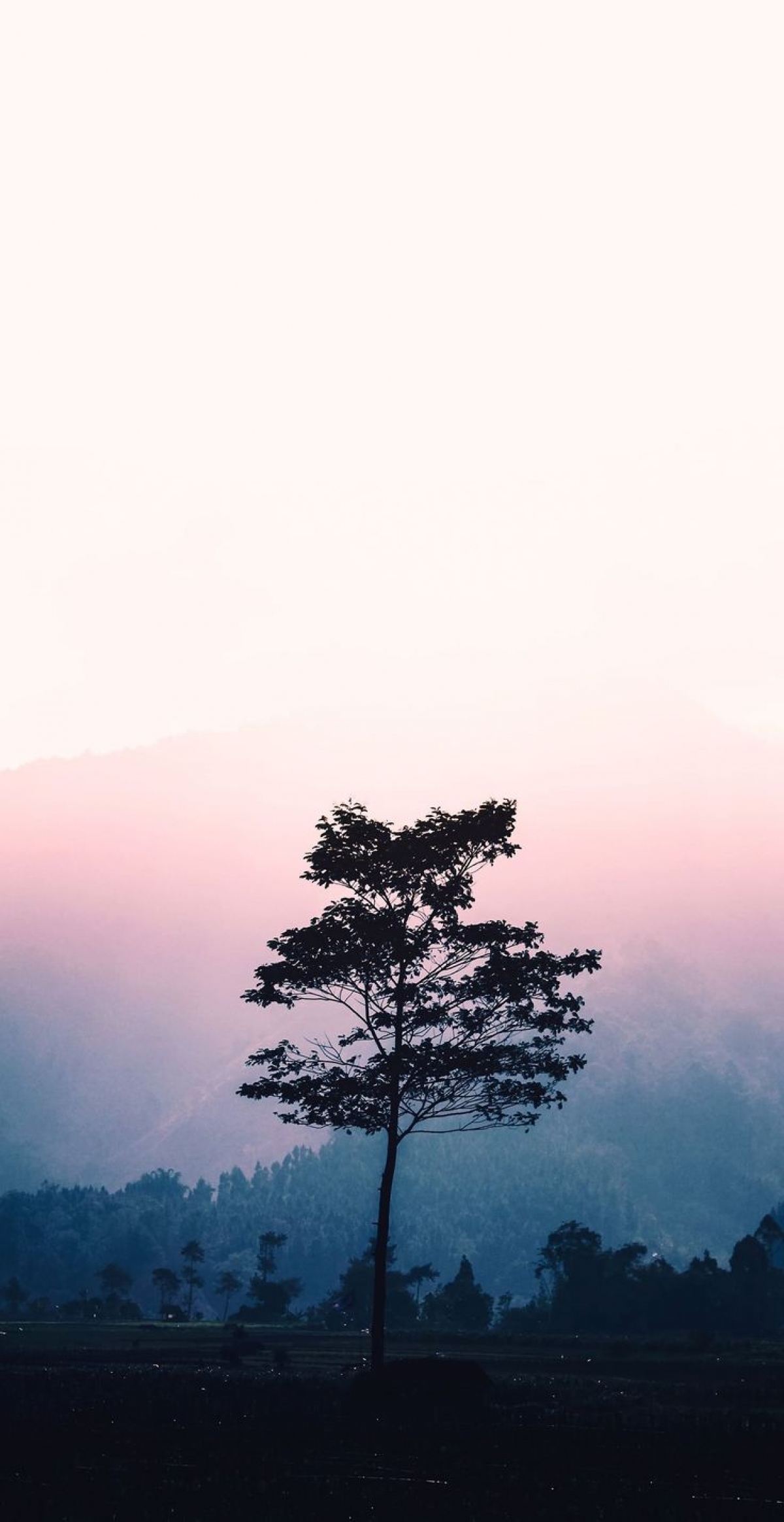 Download Free iPhone Wallpaper