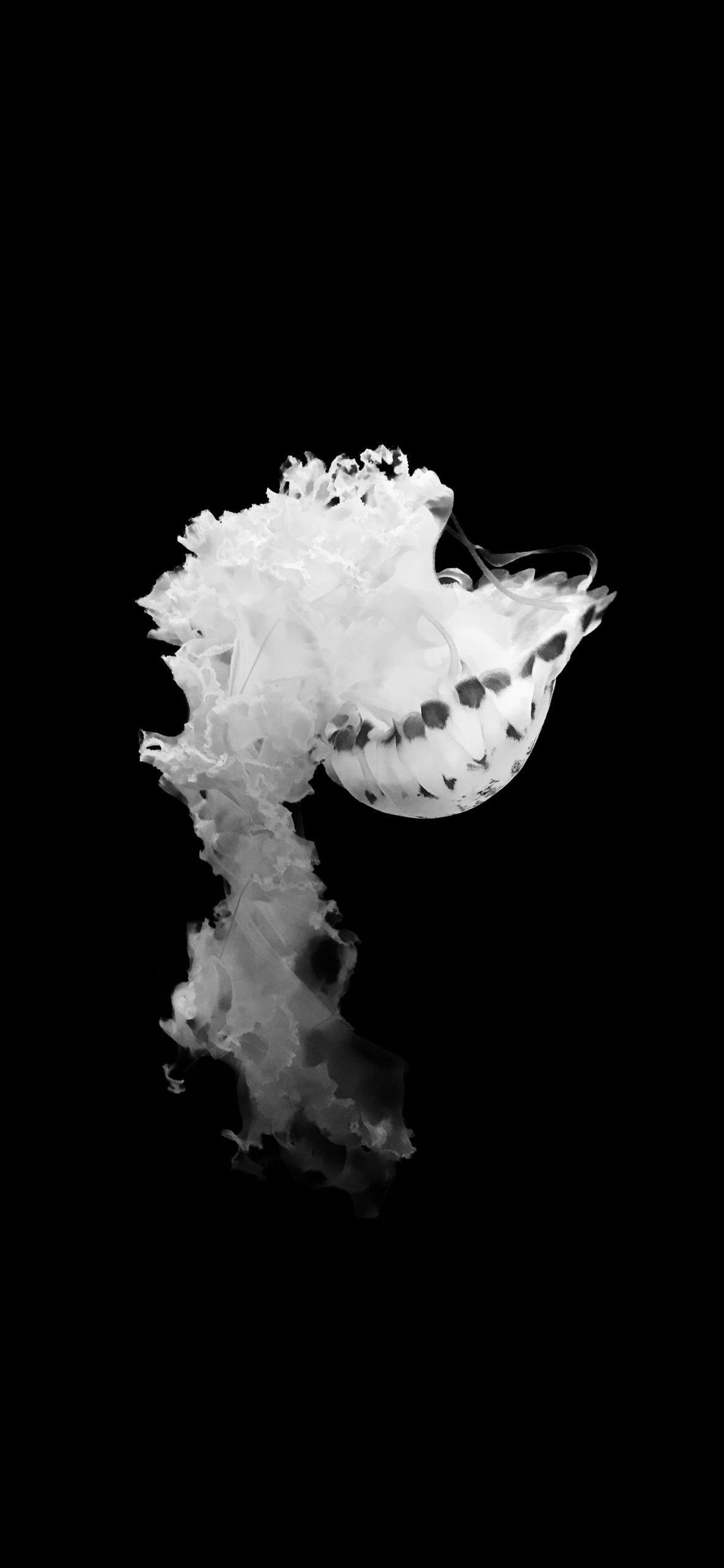 Black and White AMOLED Wallpaper