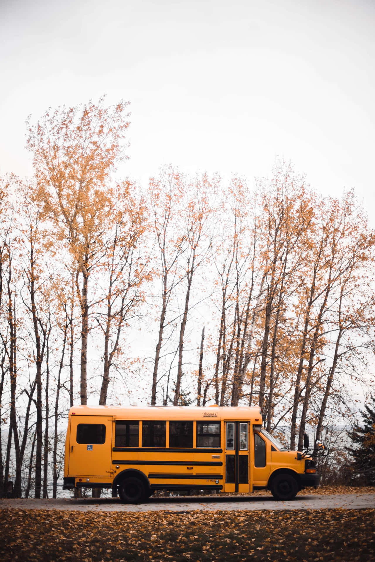 Yellow School Bus 2730 X 4096 Wallpaper
