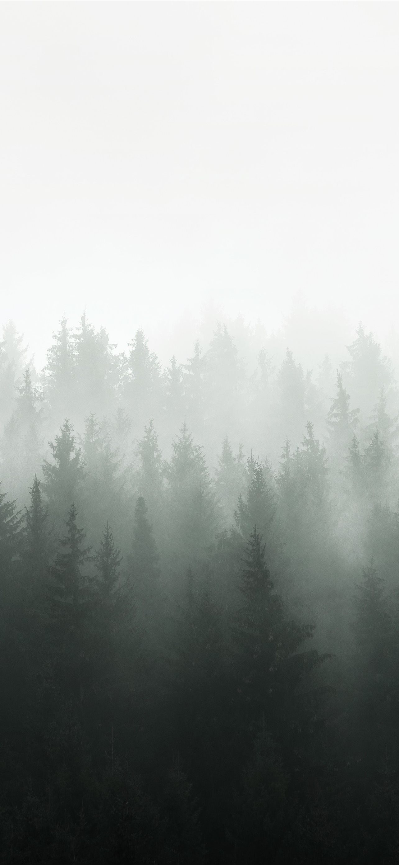 Latest Mist iPhone HD Wallpaper