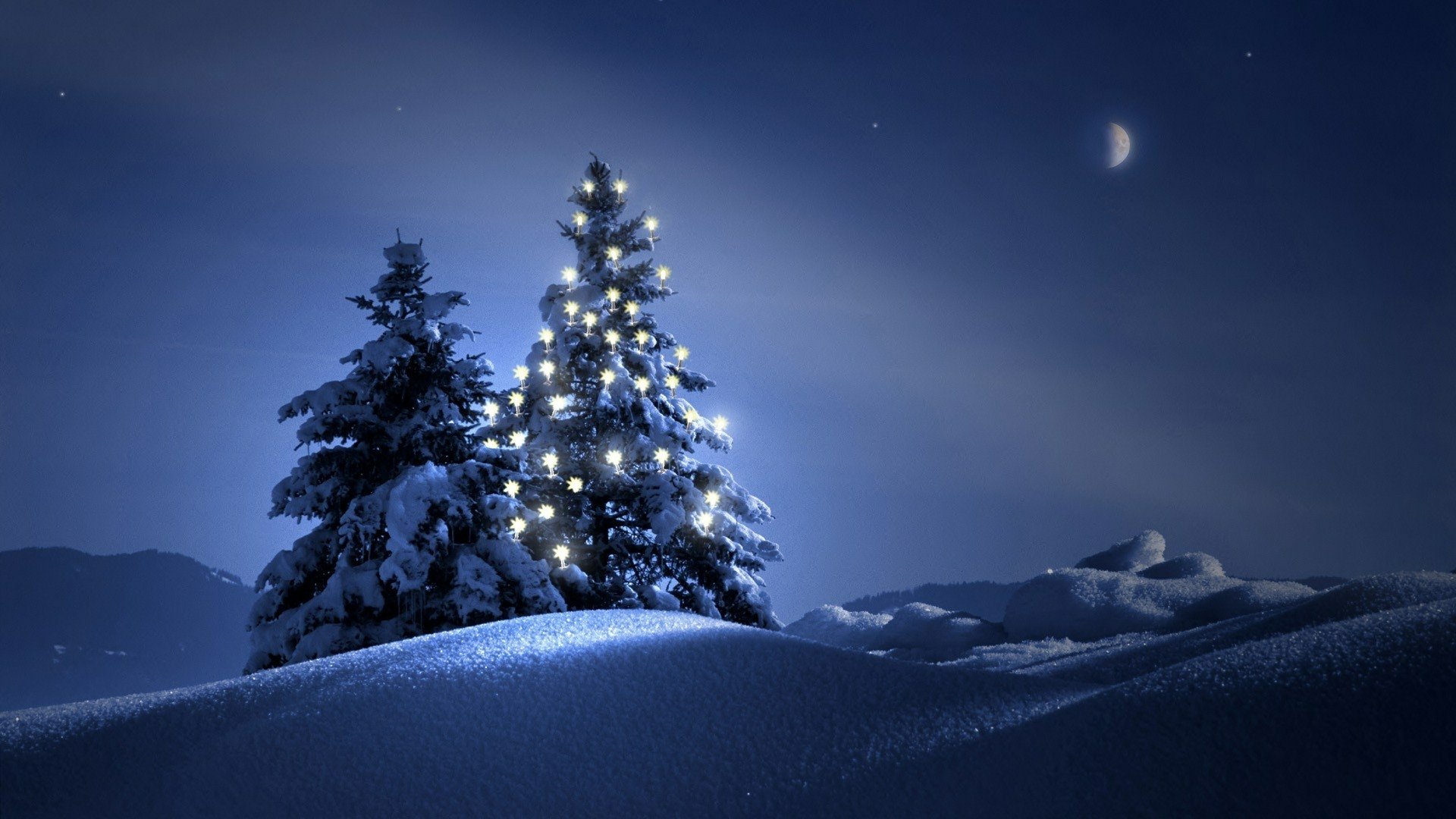 Winter Wonderland Christmas Tree HD Wallpaper