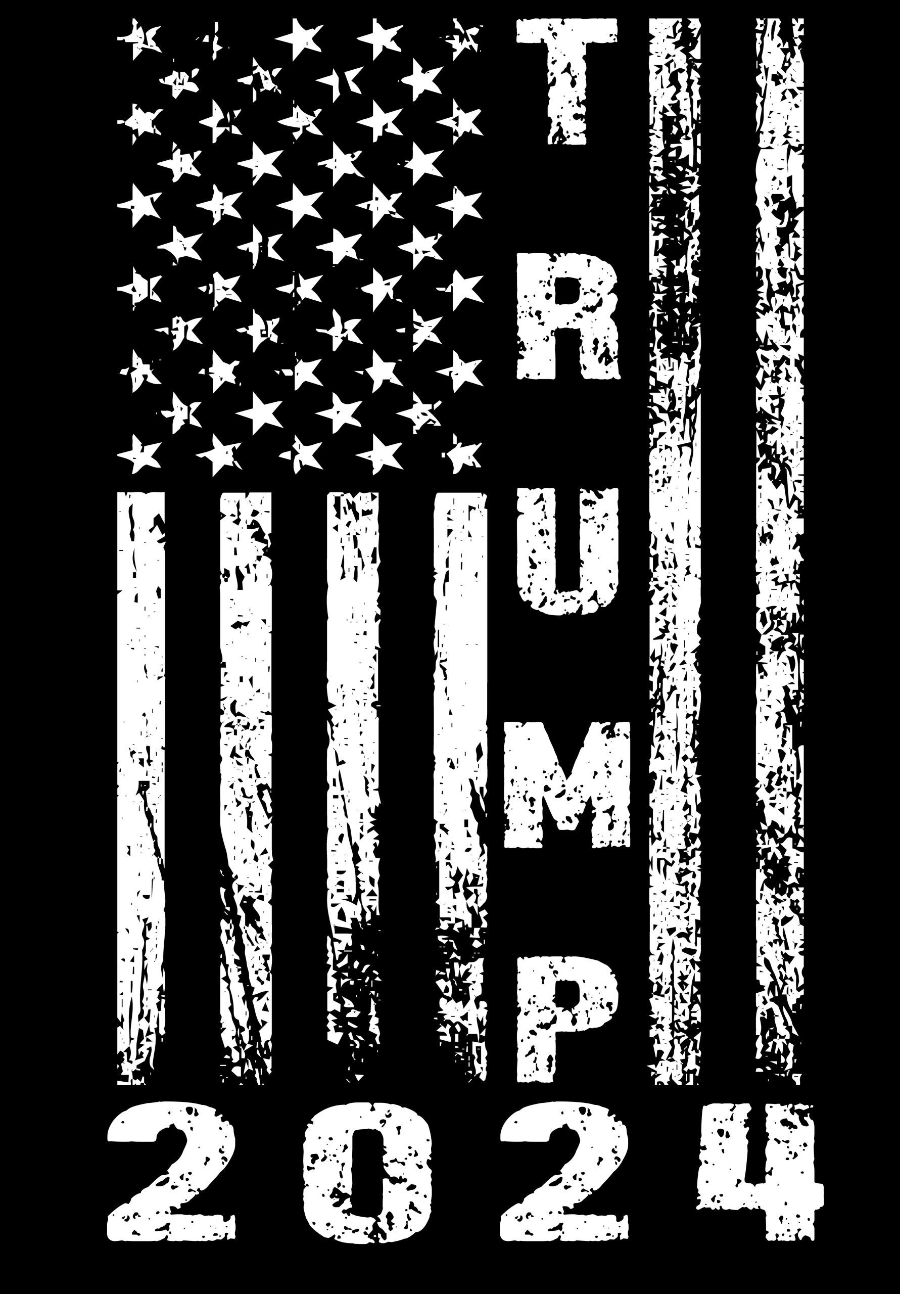Trump 2024 Flag Metal Photo T 665