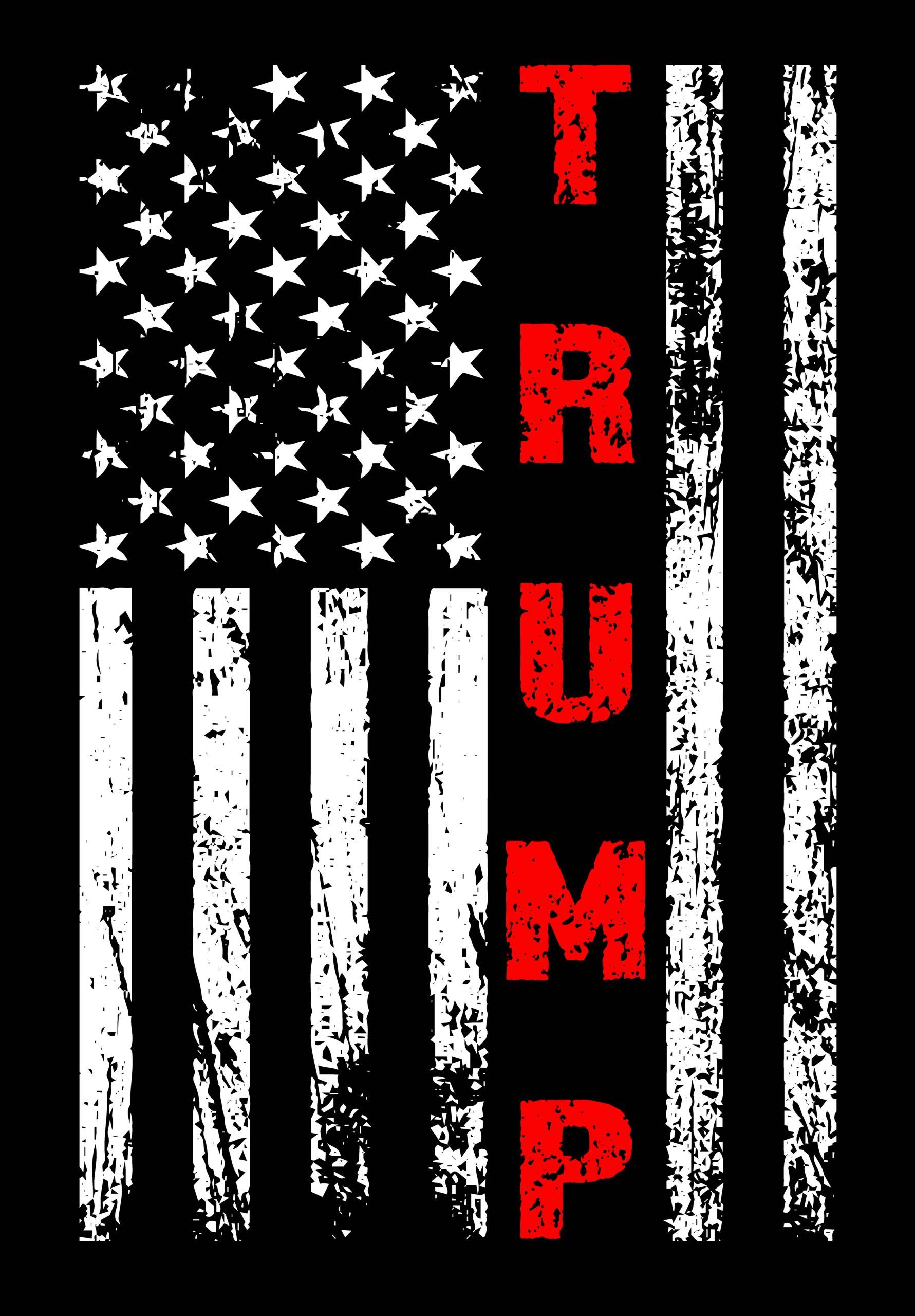 Trump Flag Metal Photo T 667