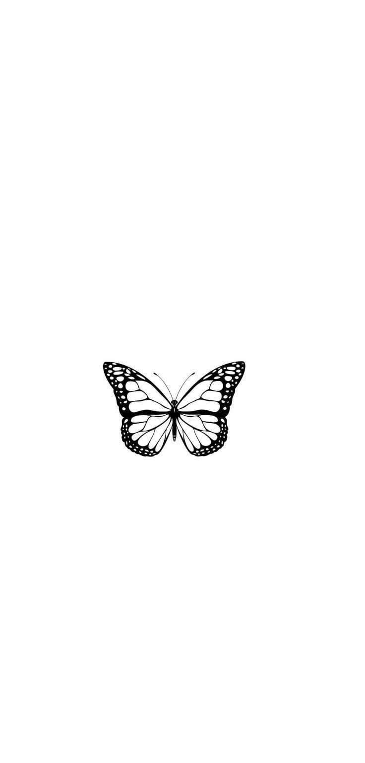 Butterfly wallpaper