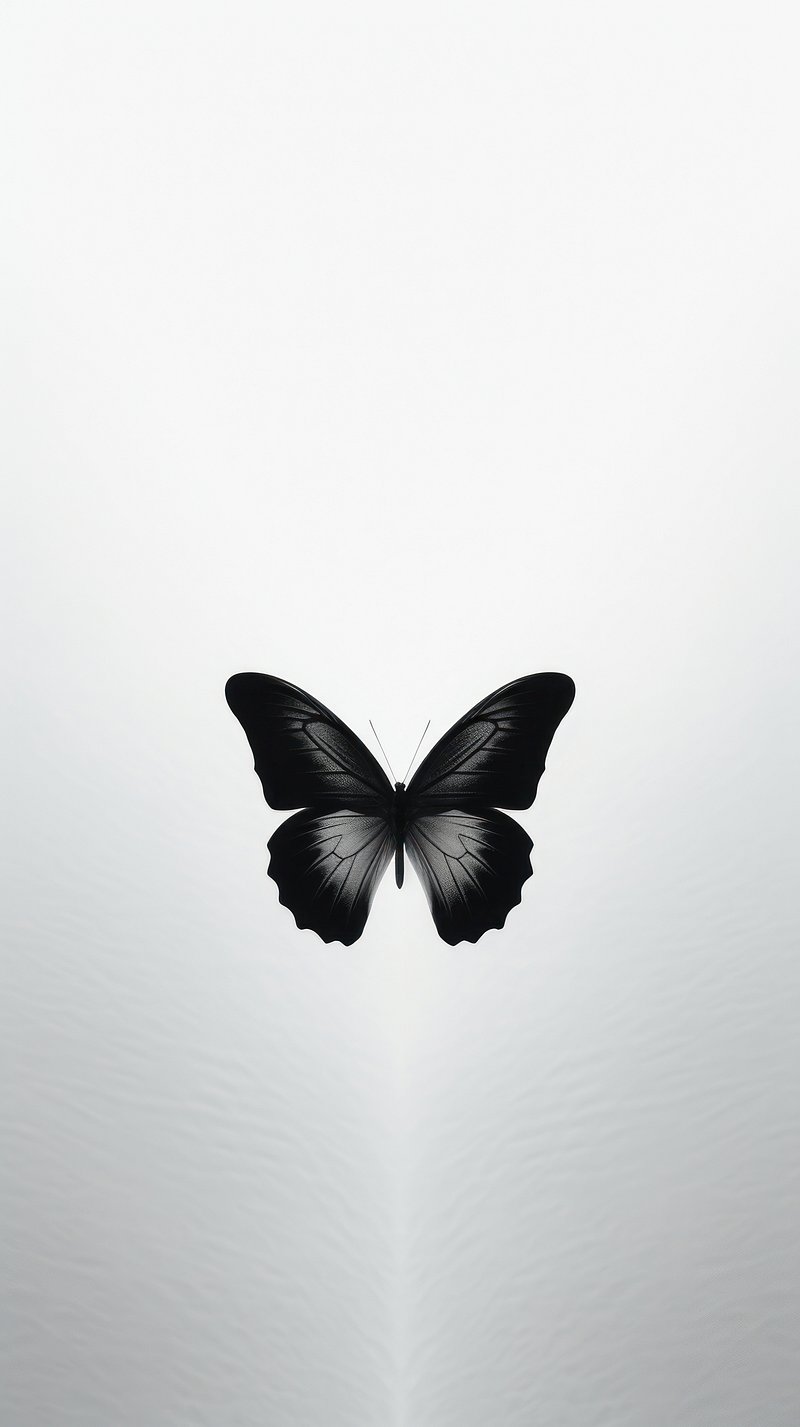 Black Butterfly Wallpaper Image. Free