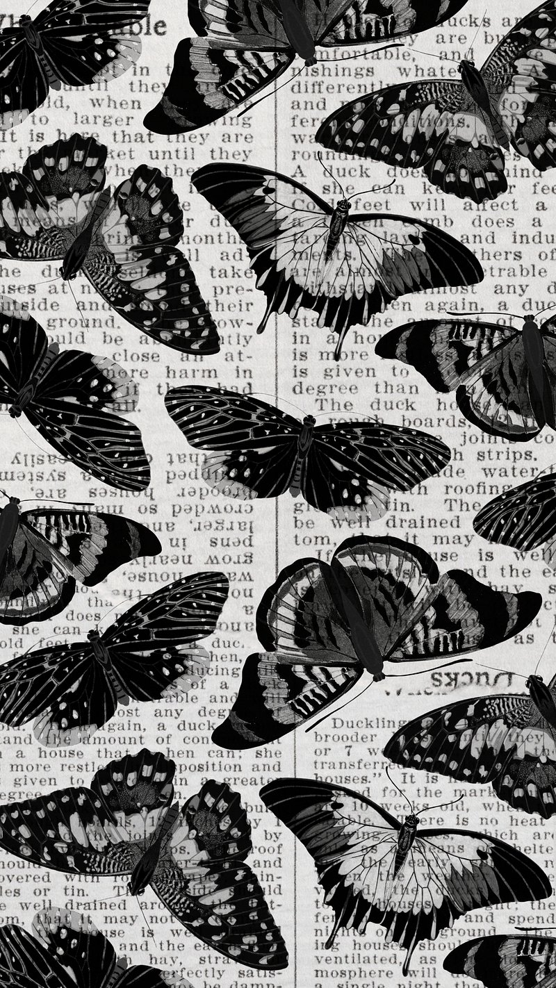 Black Butterfly Wallpaper Image. Free