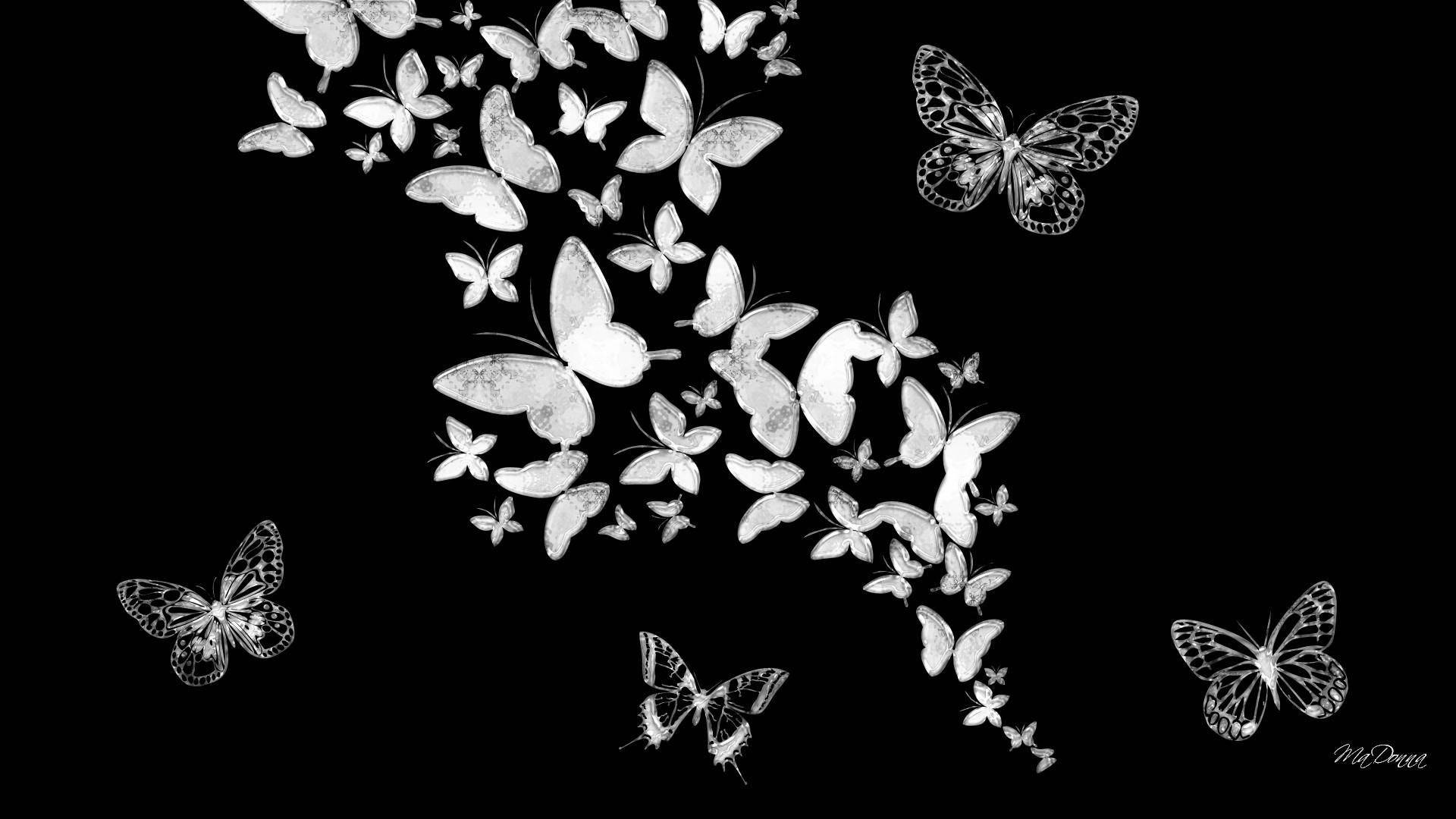 Download Butterfly Aesthetic Black Art